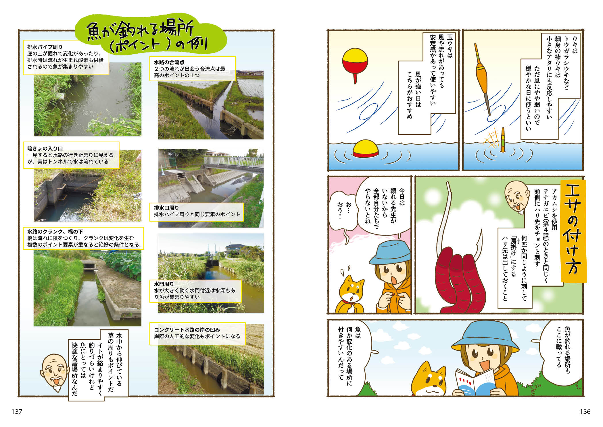 サムネイル画像5