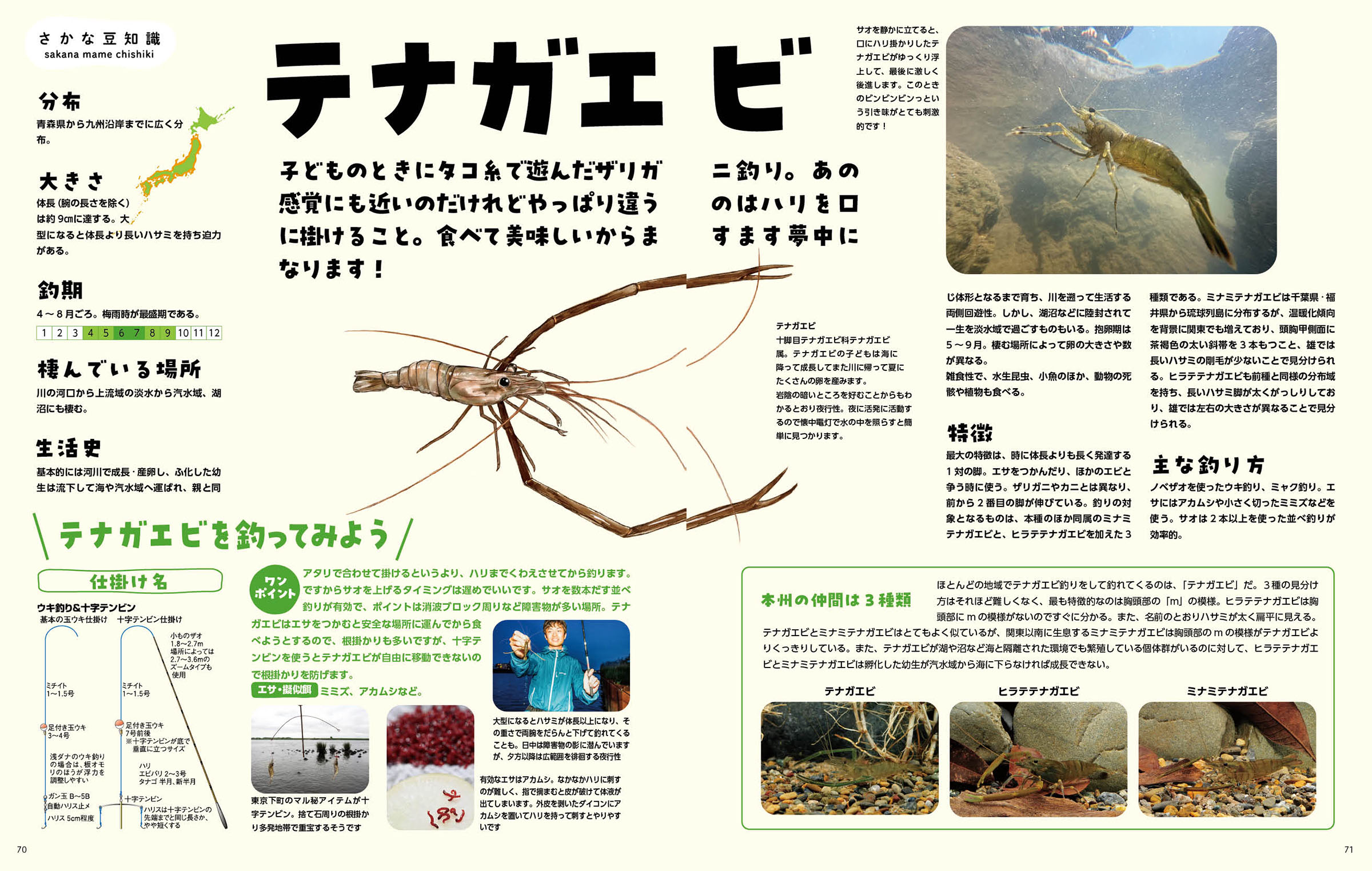 サムネイル画像2
