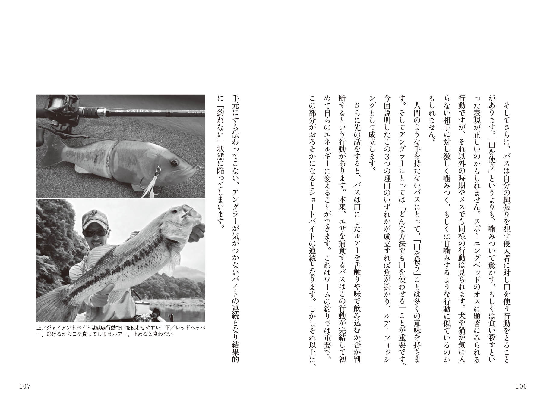 サムネイル画像5