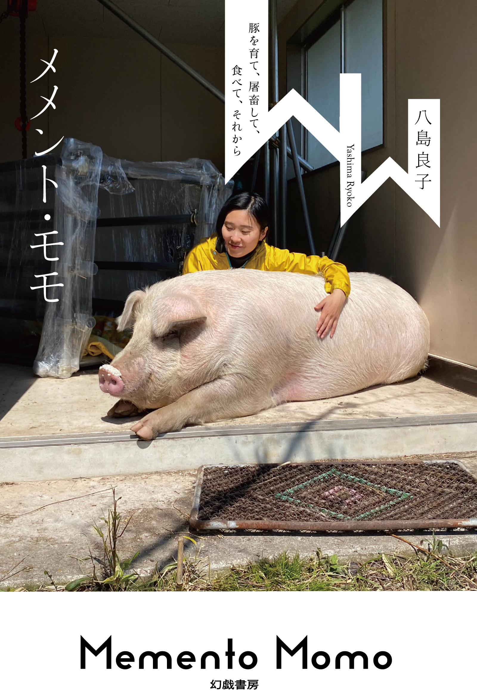 メイン画像