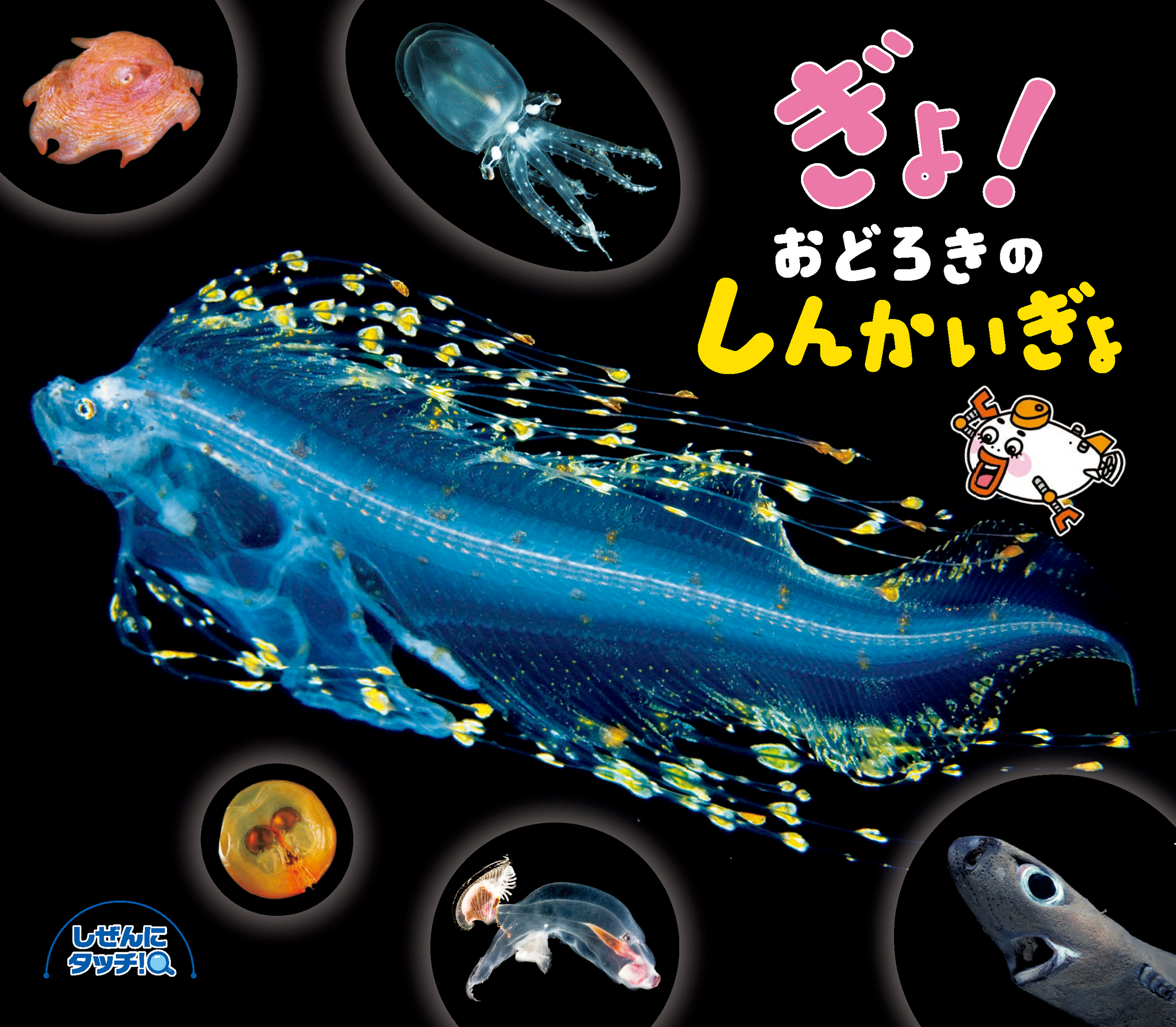 メイン画像