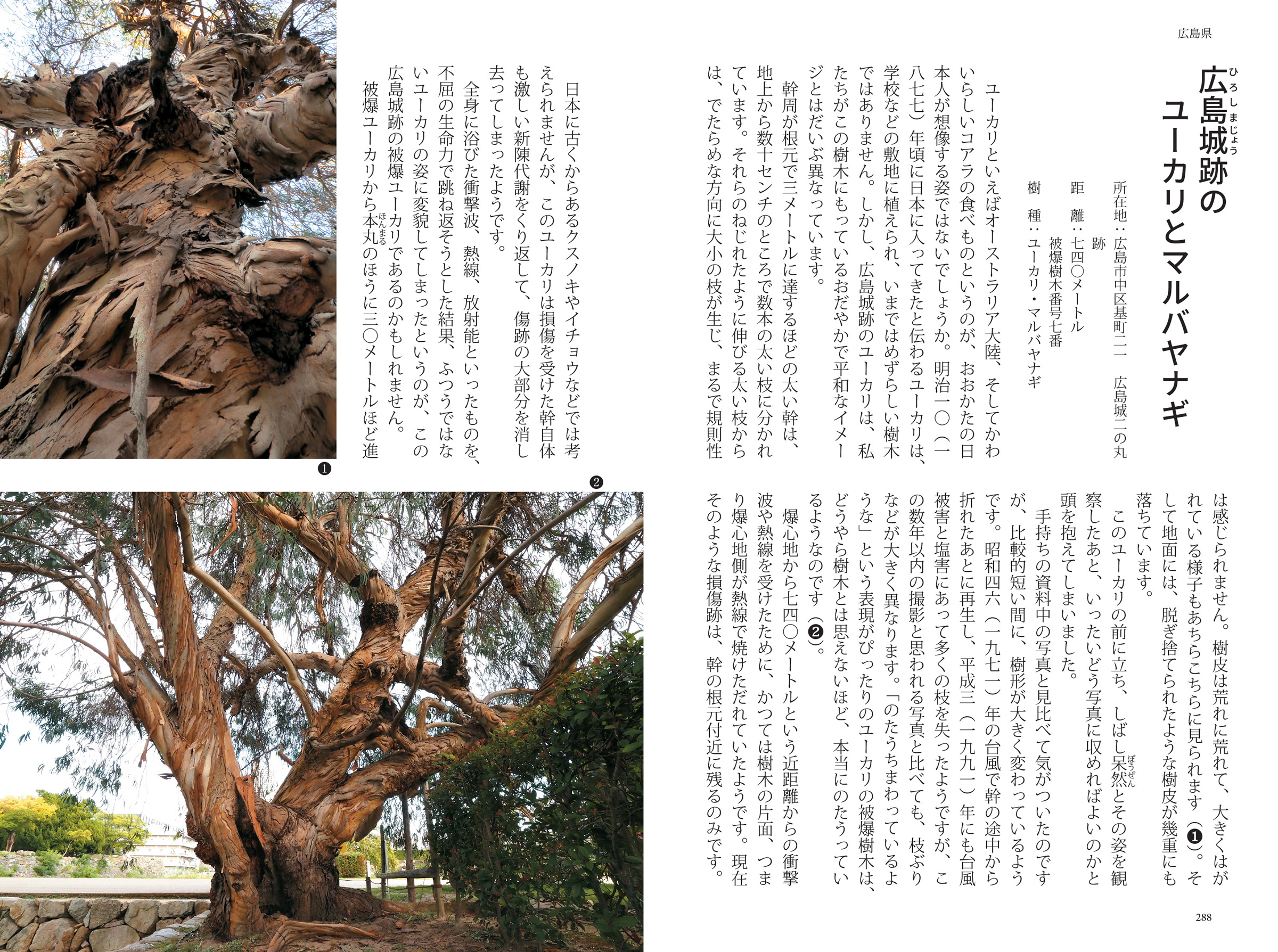 サムネイル画像4