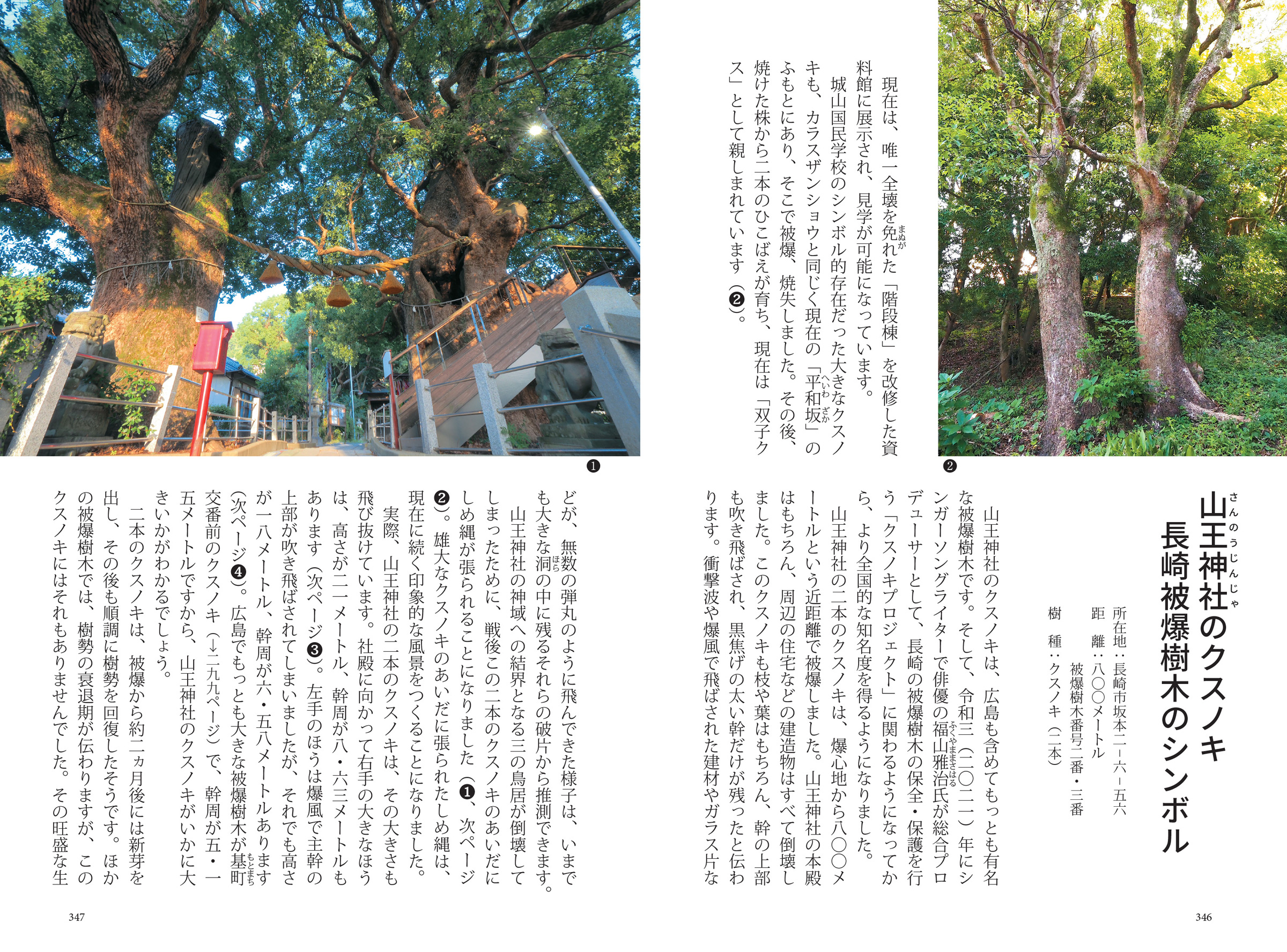 サムネイル画像5