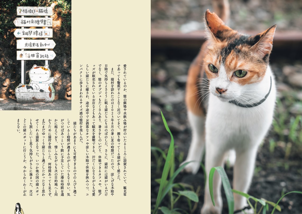 サムネイル画像5