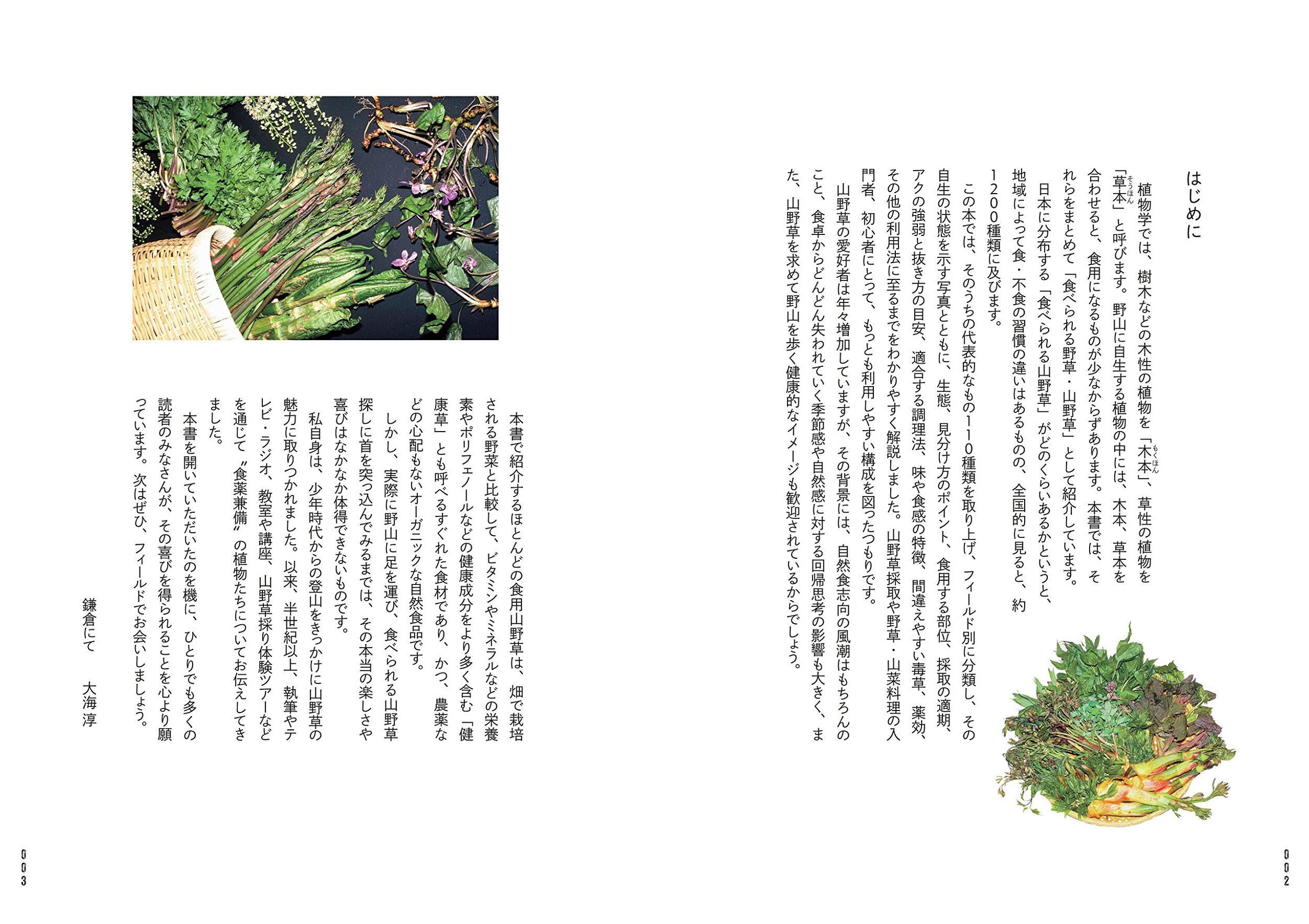 サムネイル画像1