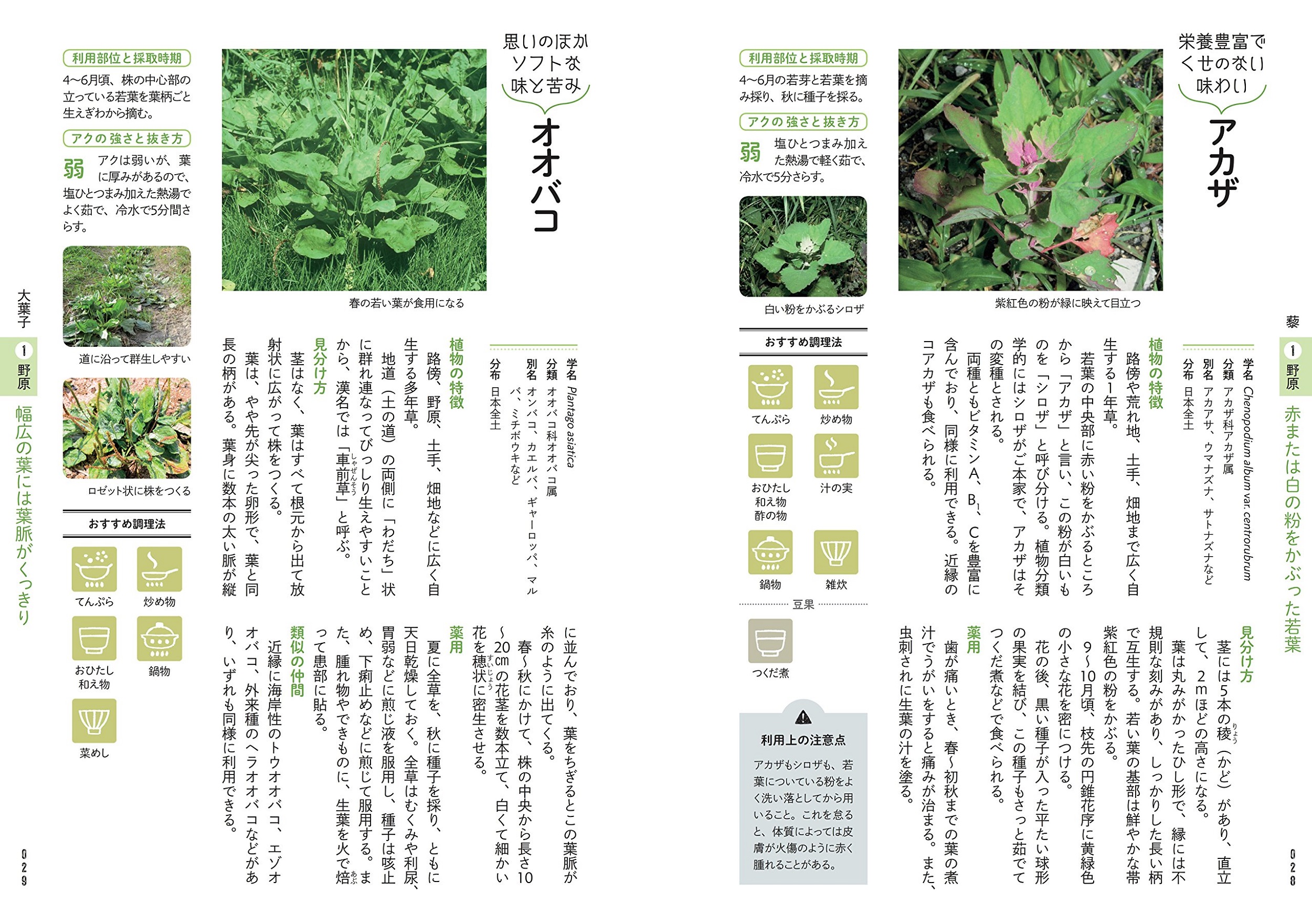サムネイル画像3