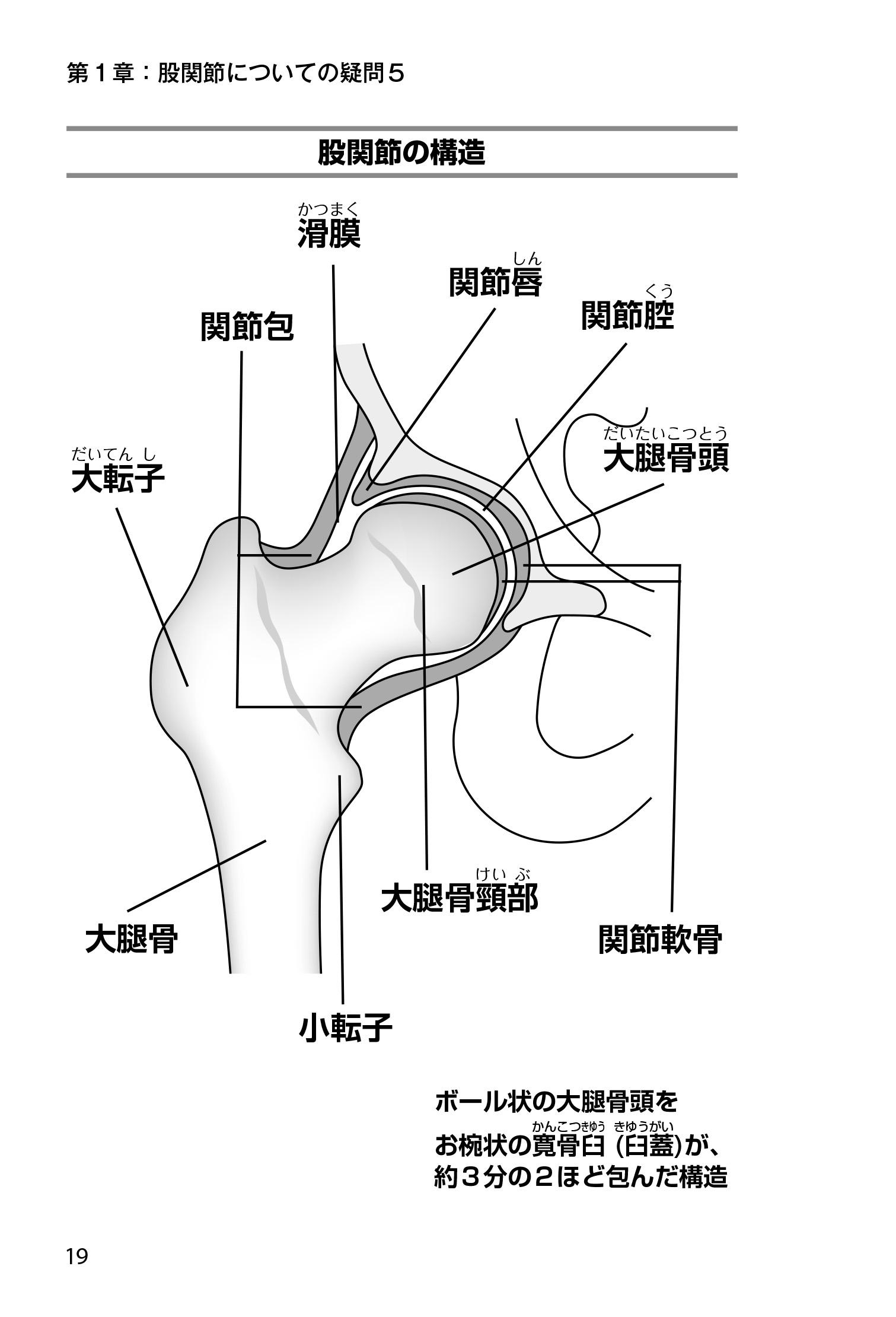 サムネイル画像7