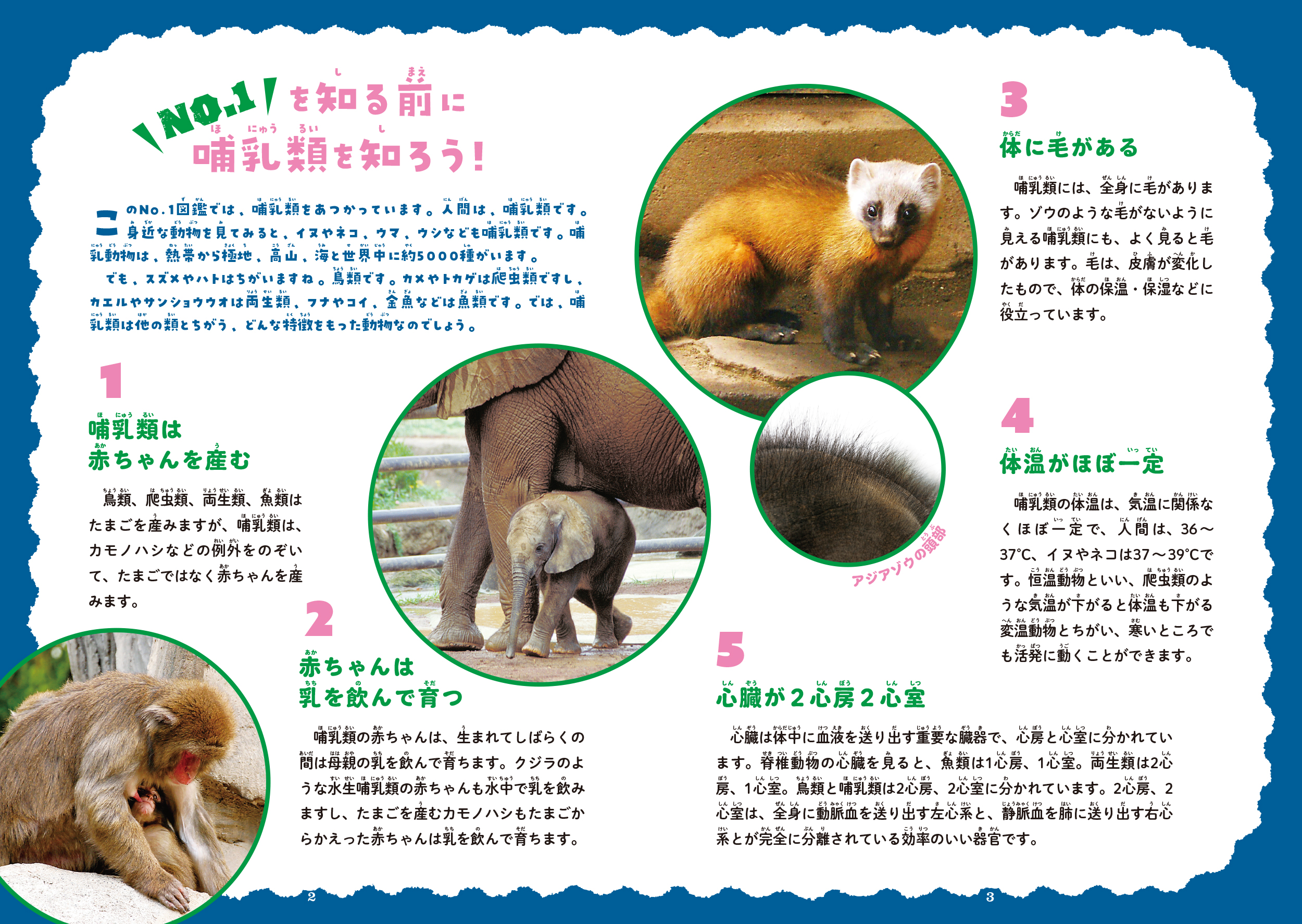サムネイル画像1