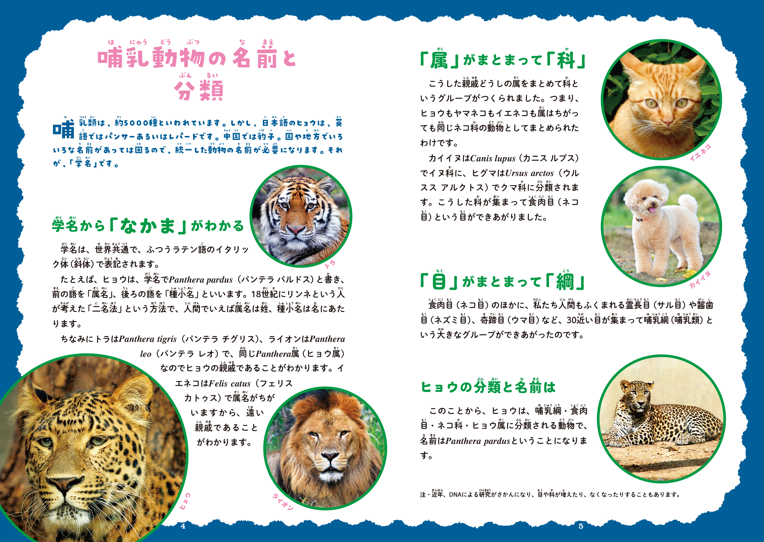 サムネイル画像2