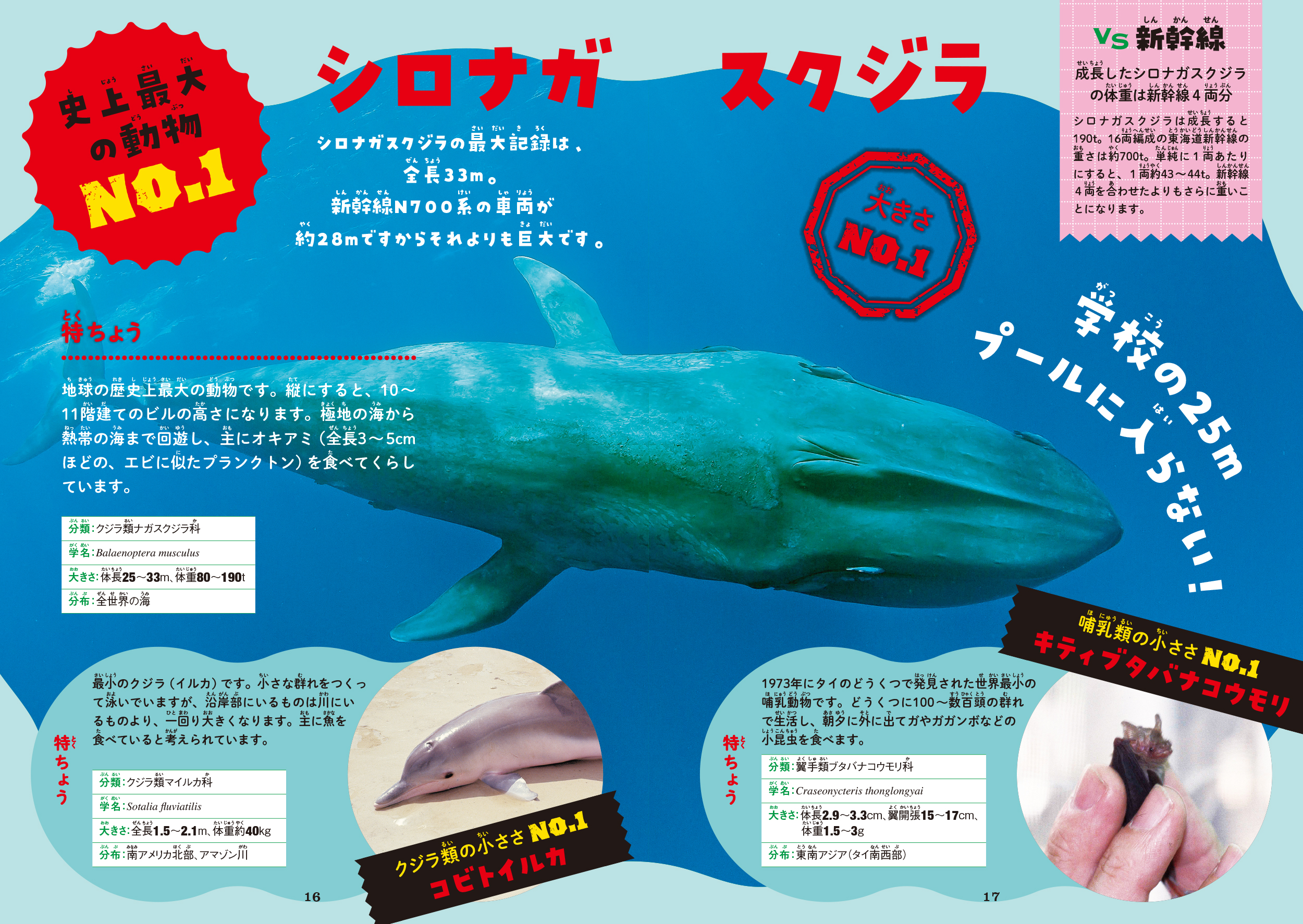 サムネイル画像5