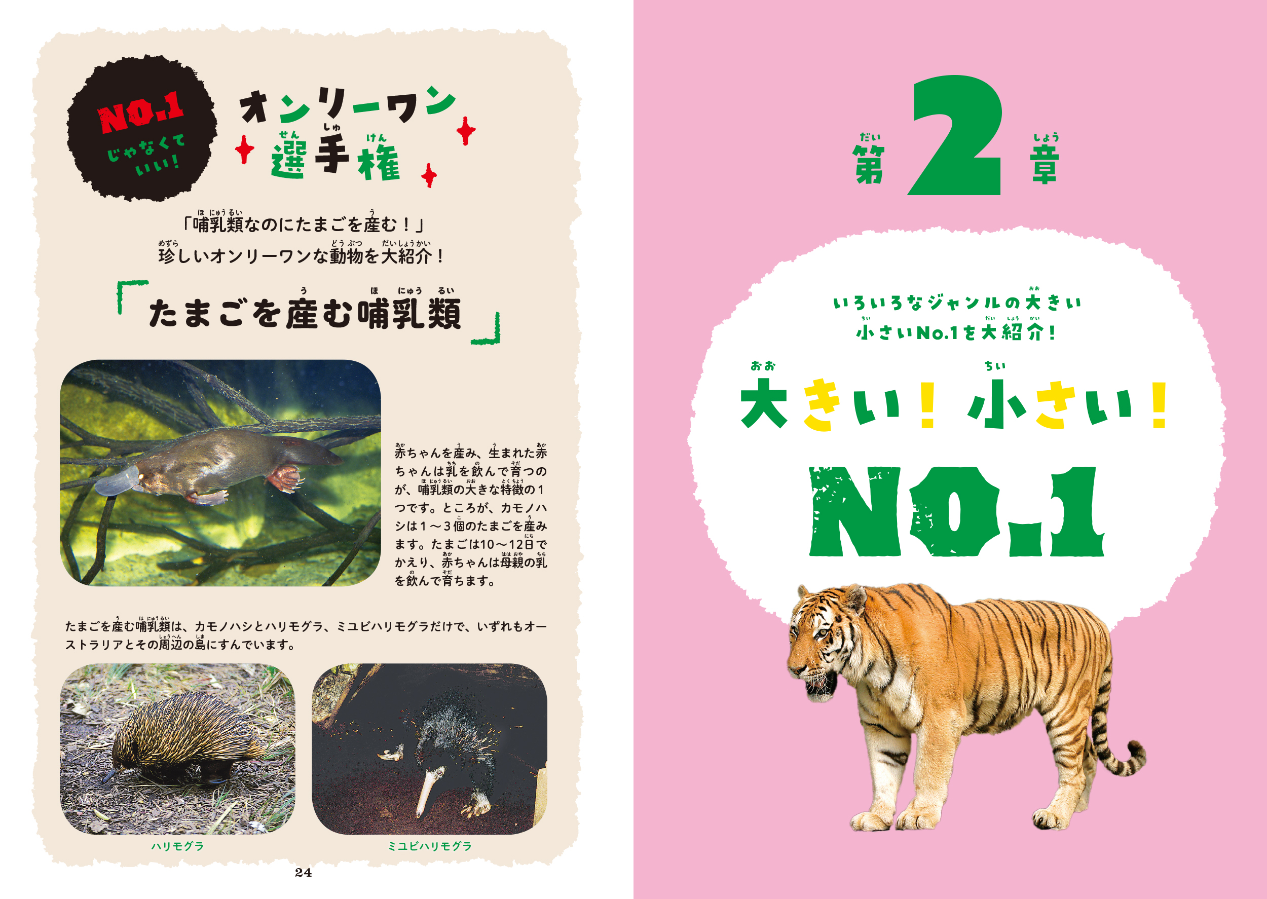 サムネイル画像6