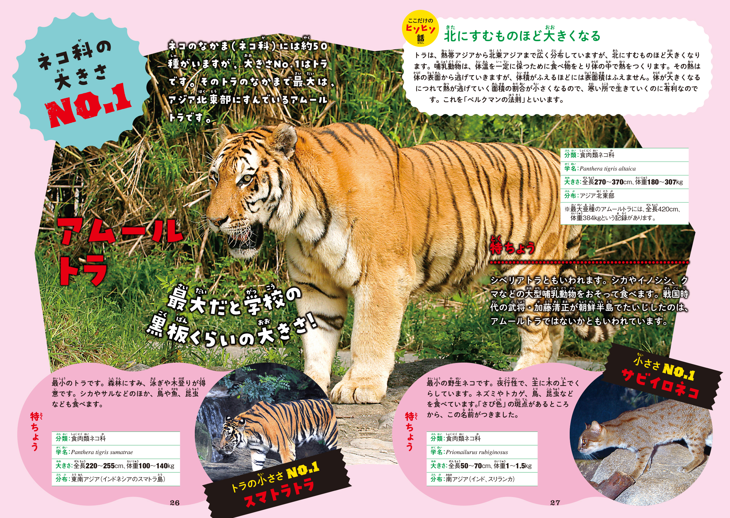 サムネイル画像7