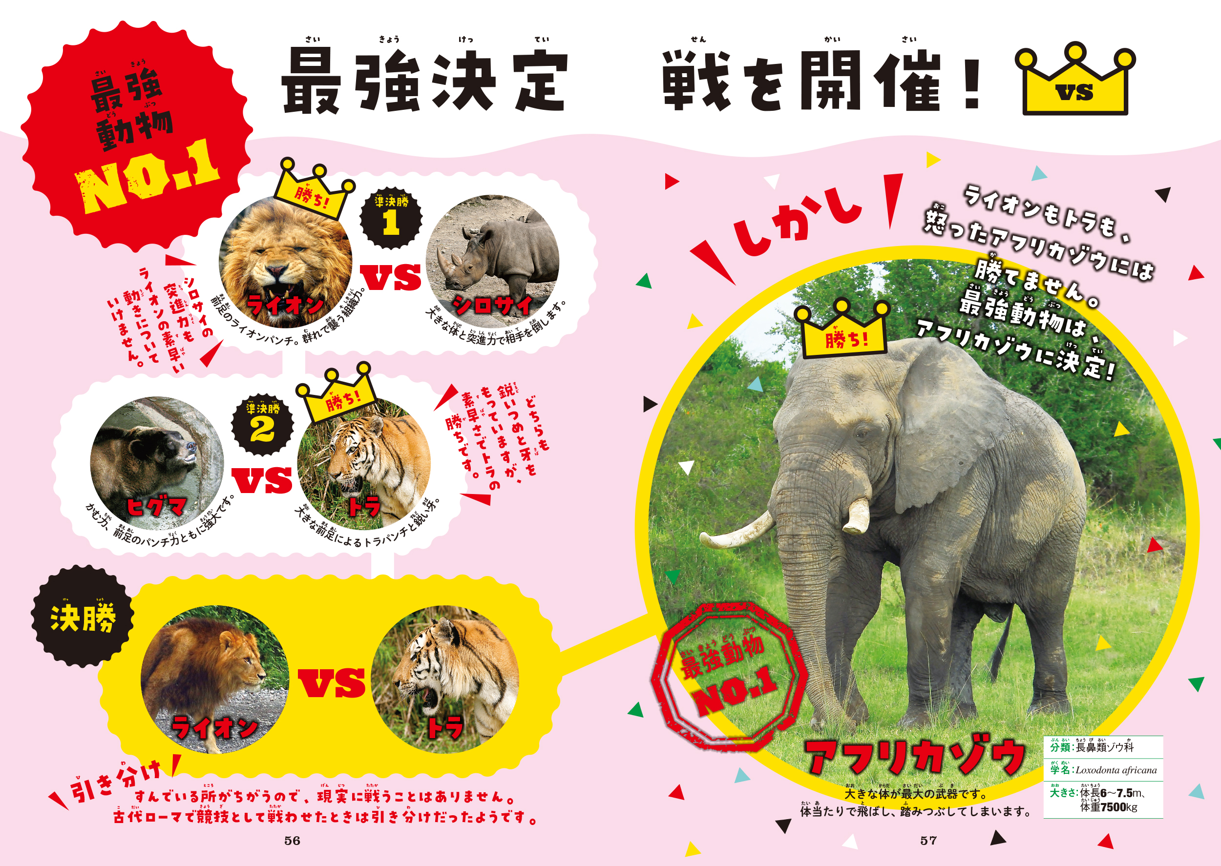 サムネイル画像8