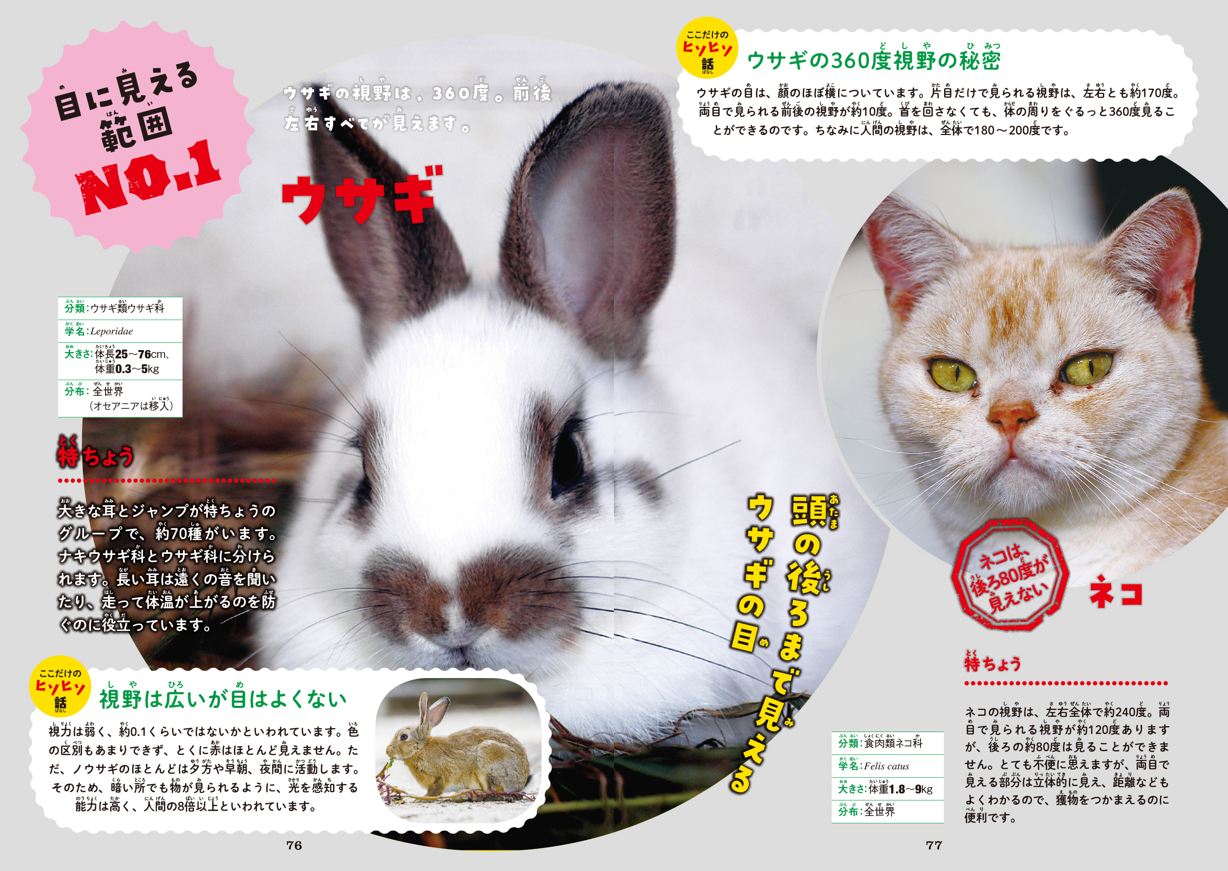 サムネイル画像9