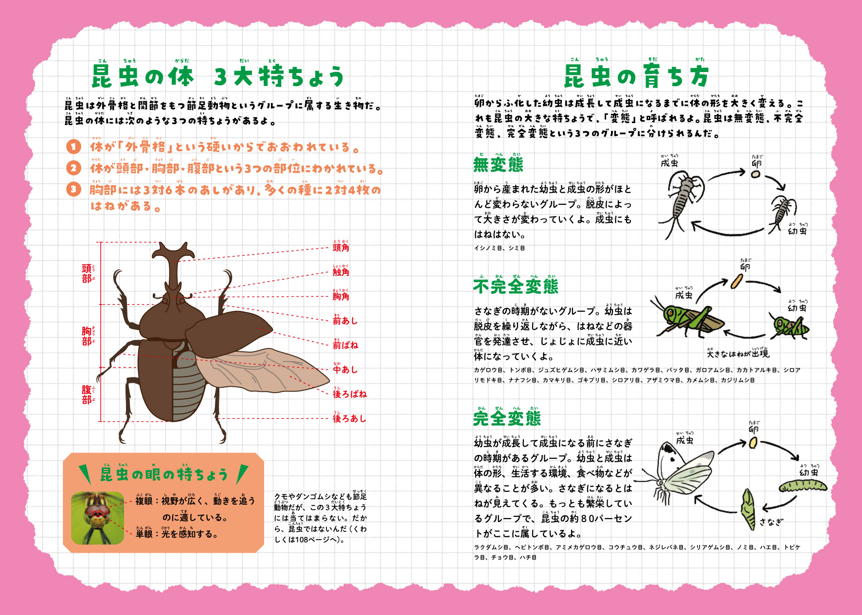 サムネイル画像2