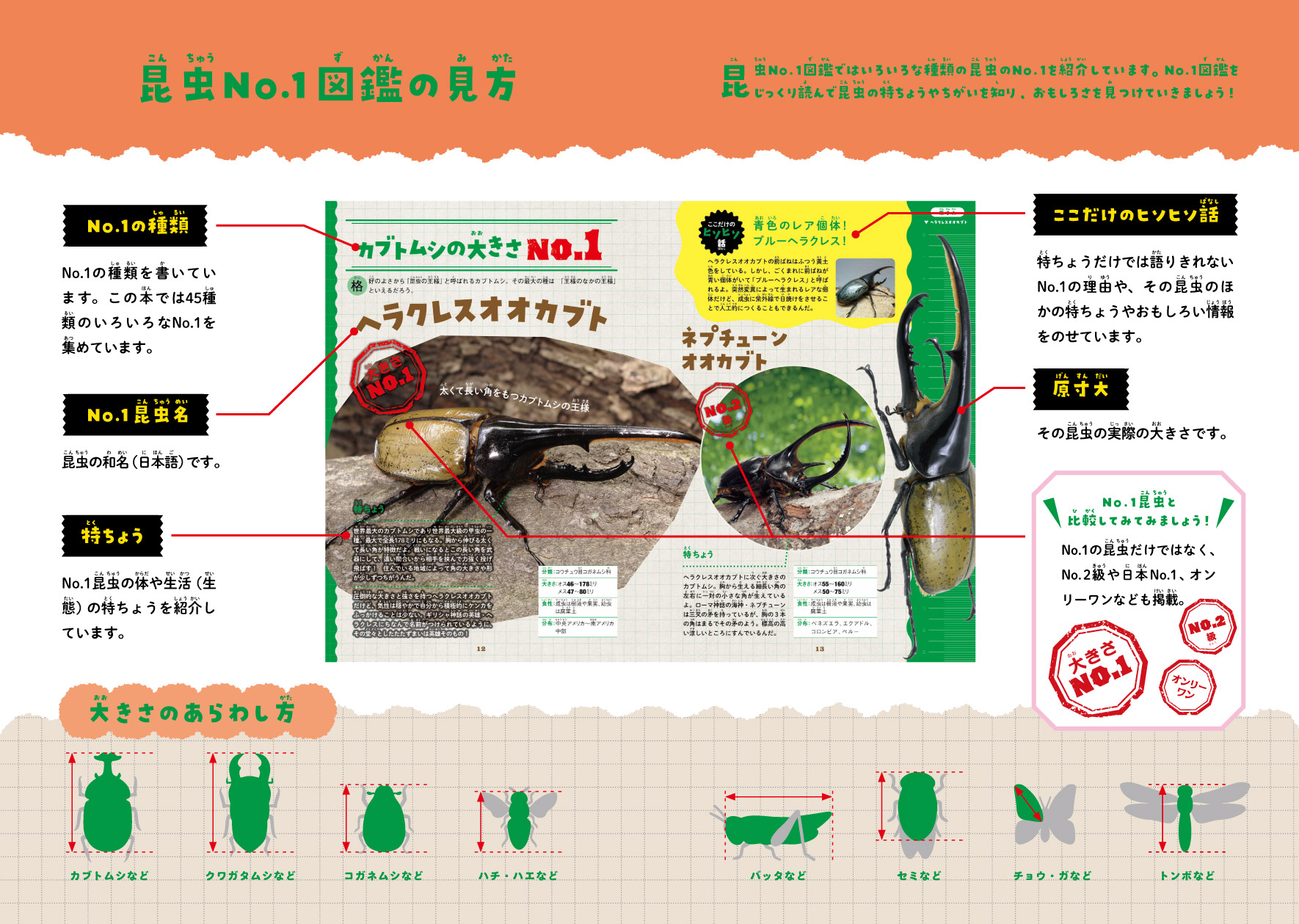 サムネイル画像3