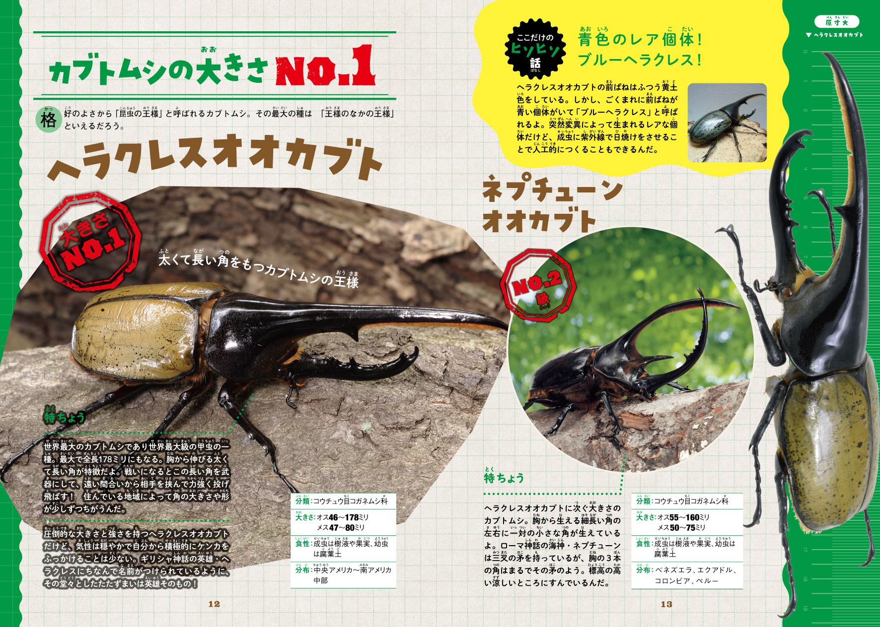サムネイル画像4