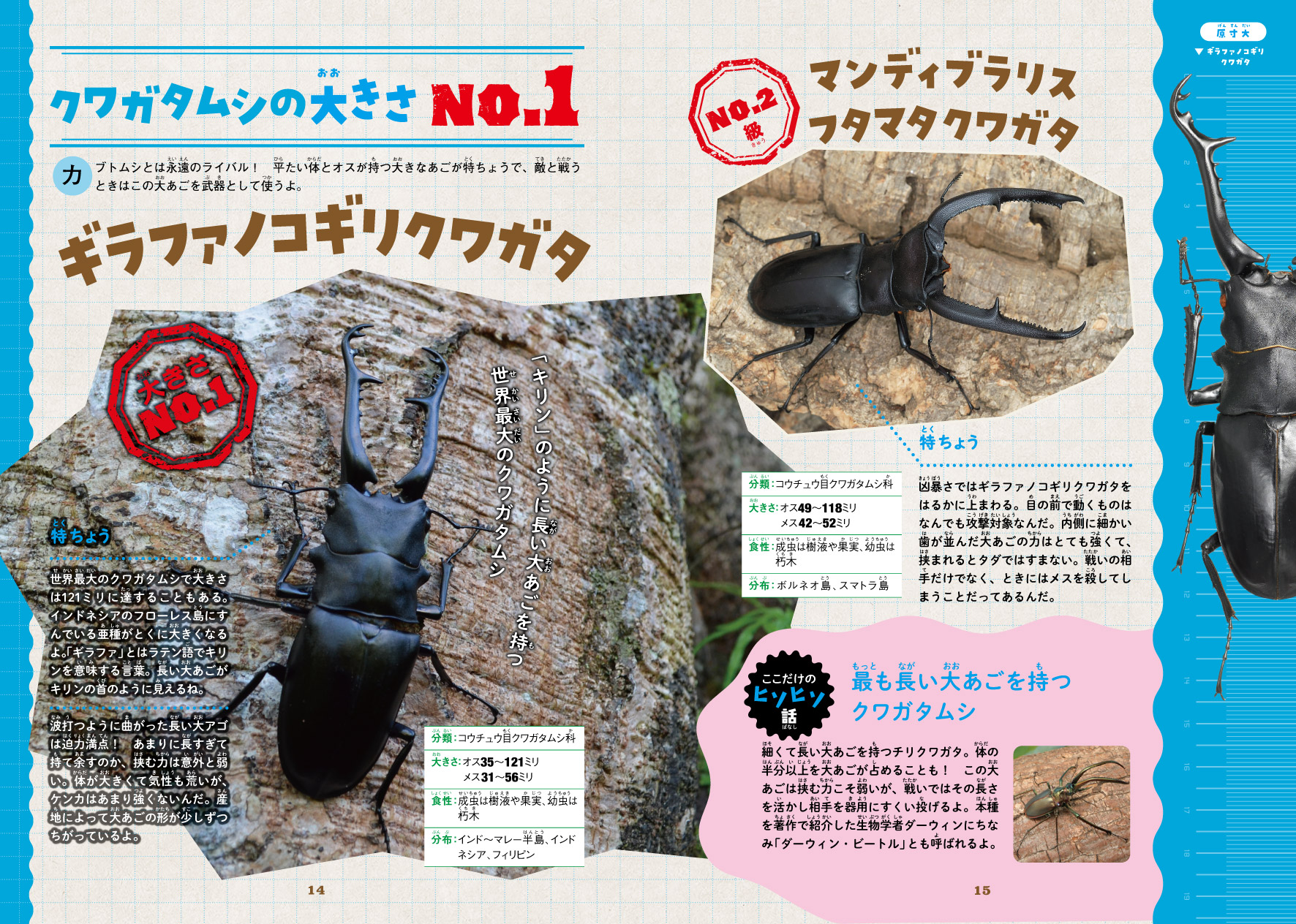 サムネイル画像5