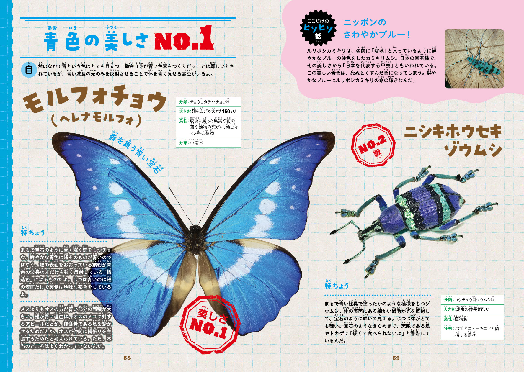 サムネイル画像6