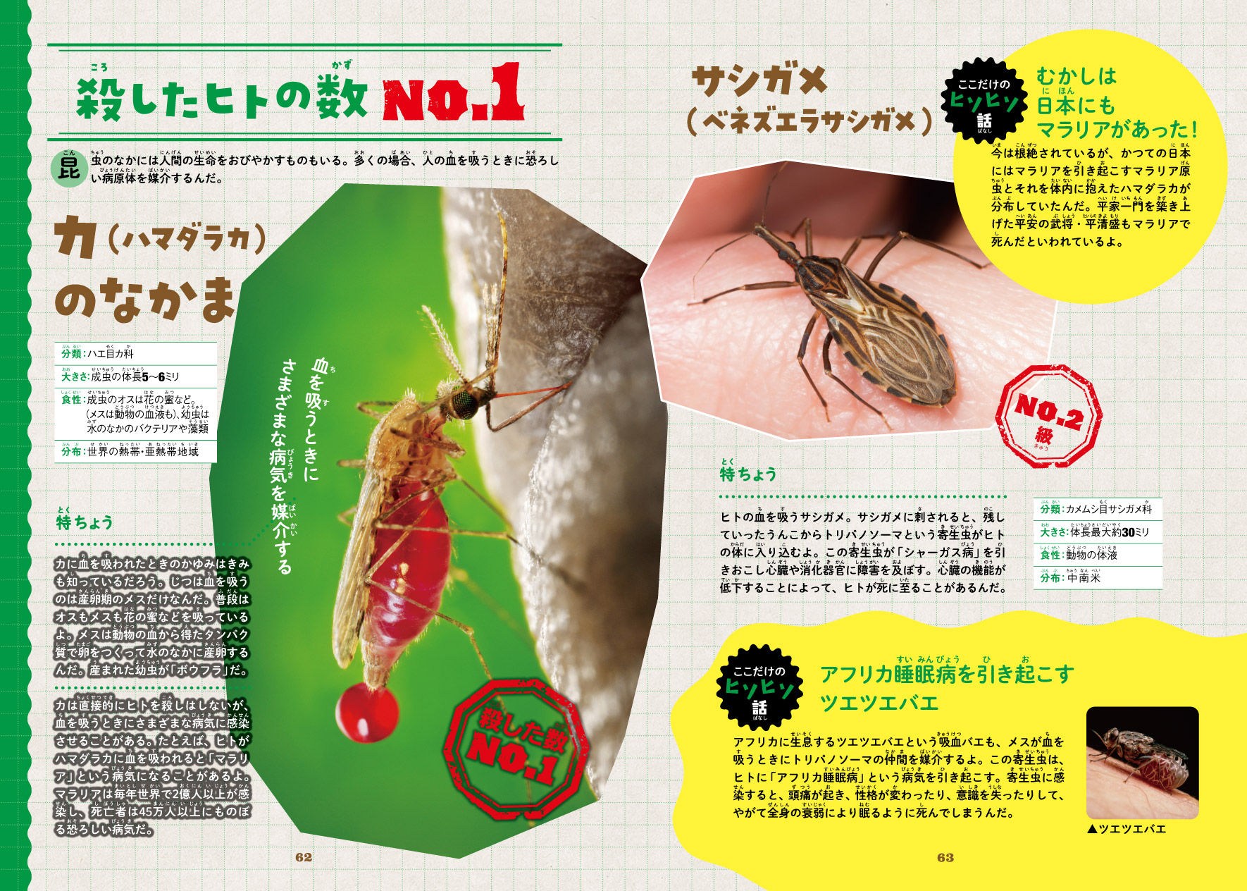 サムネイル画像7