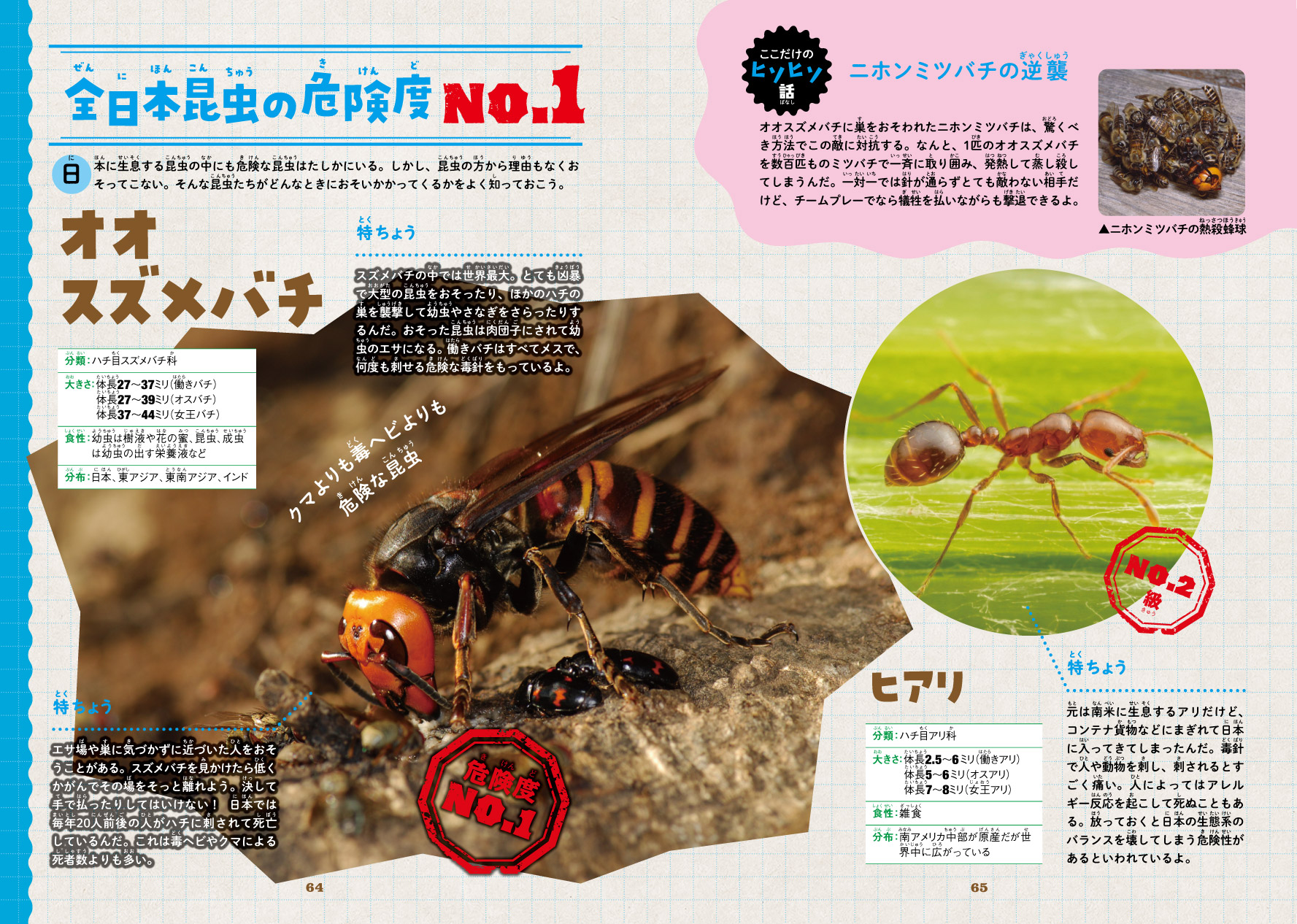 サムネイル画像8