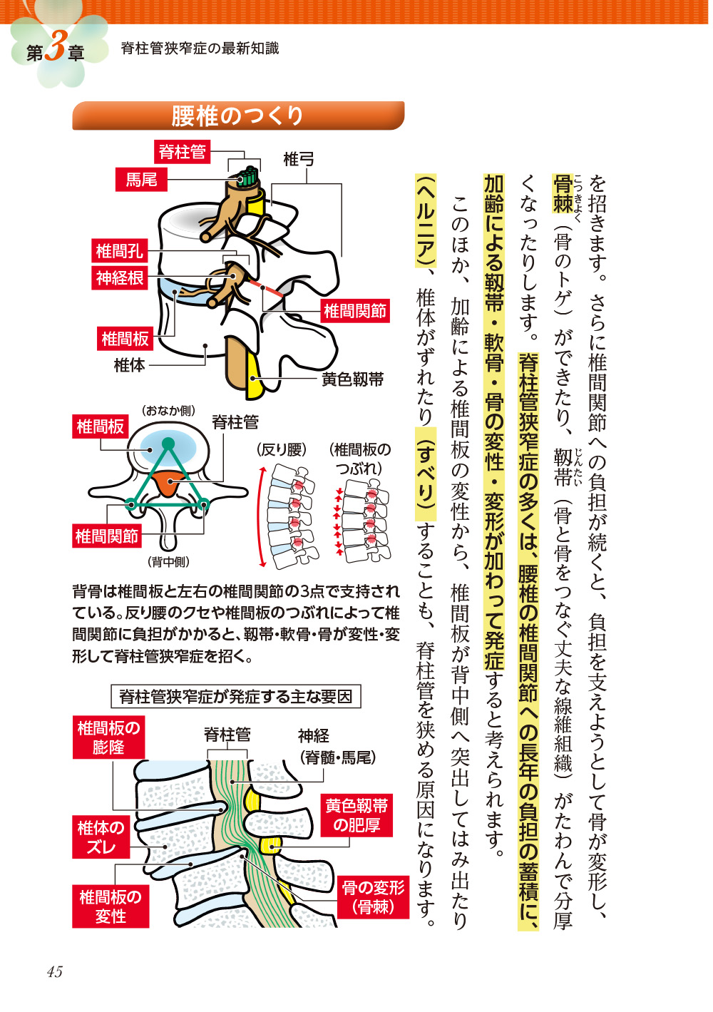 サムネイル画像6