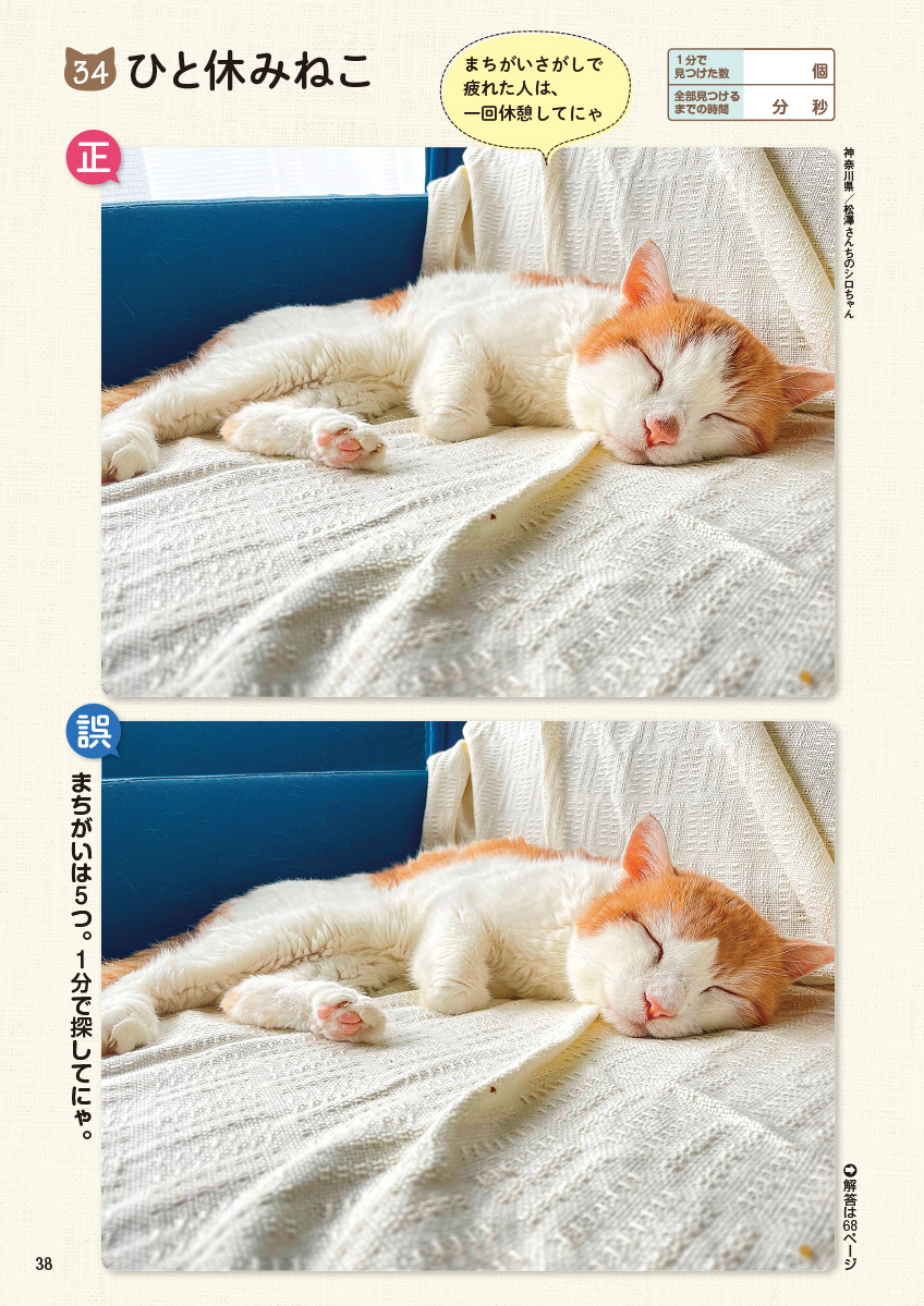 サムネイル画像9