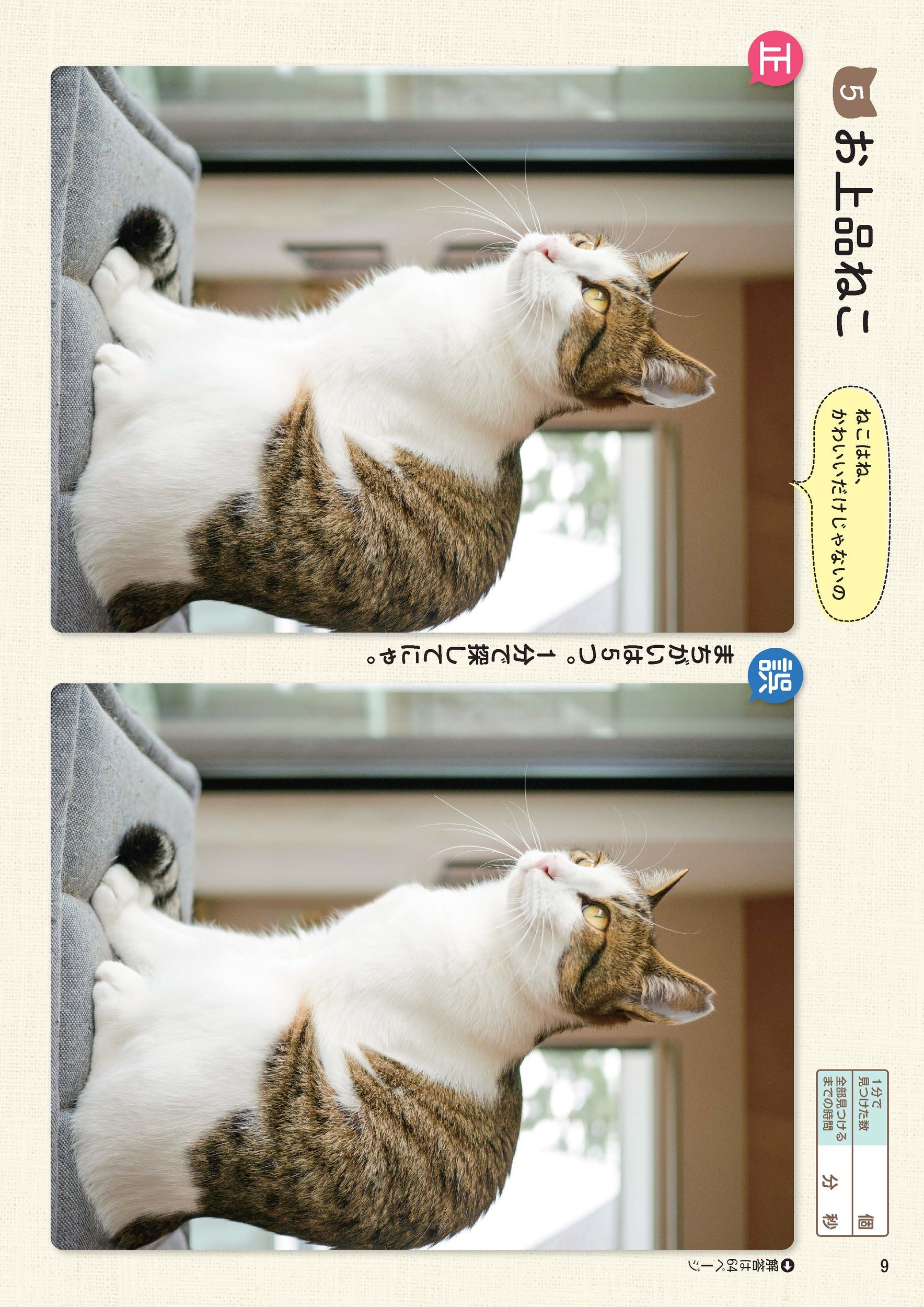 サムネイル画像9