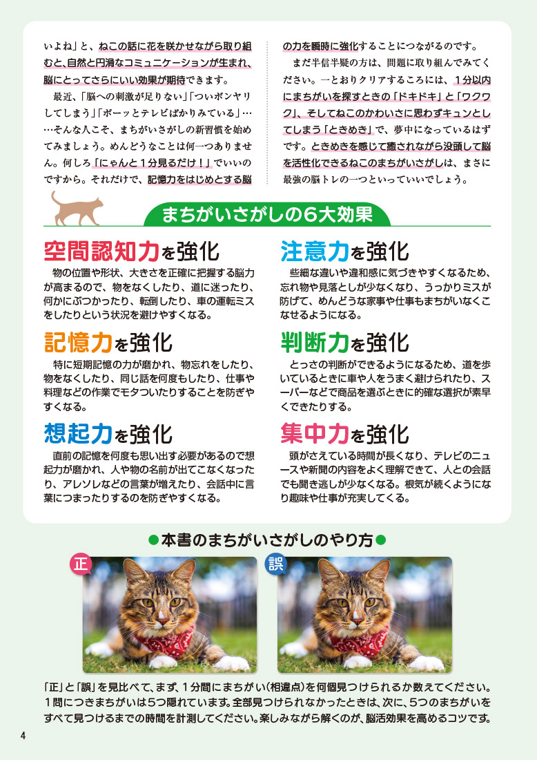 サムネイル画像4
