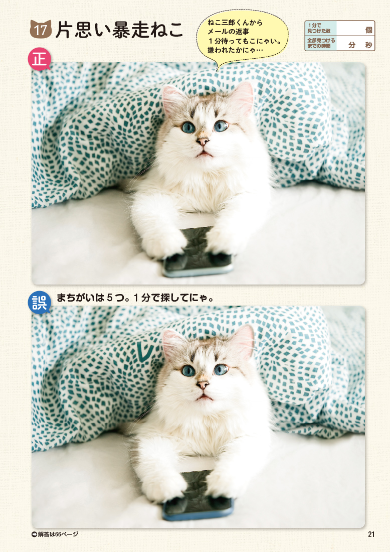 サムネイル画像6