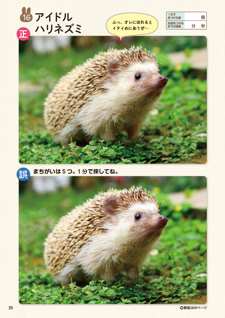 サムネイル画像7