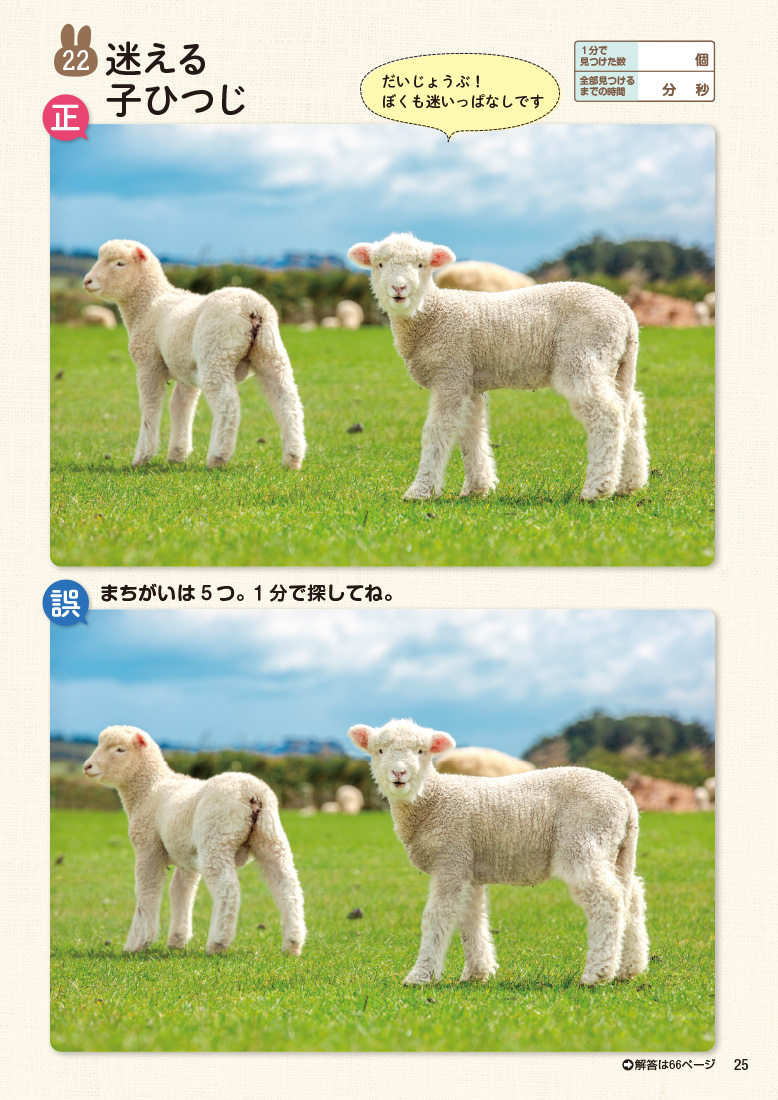 サムネイル画像8