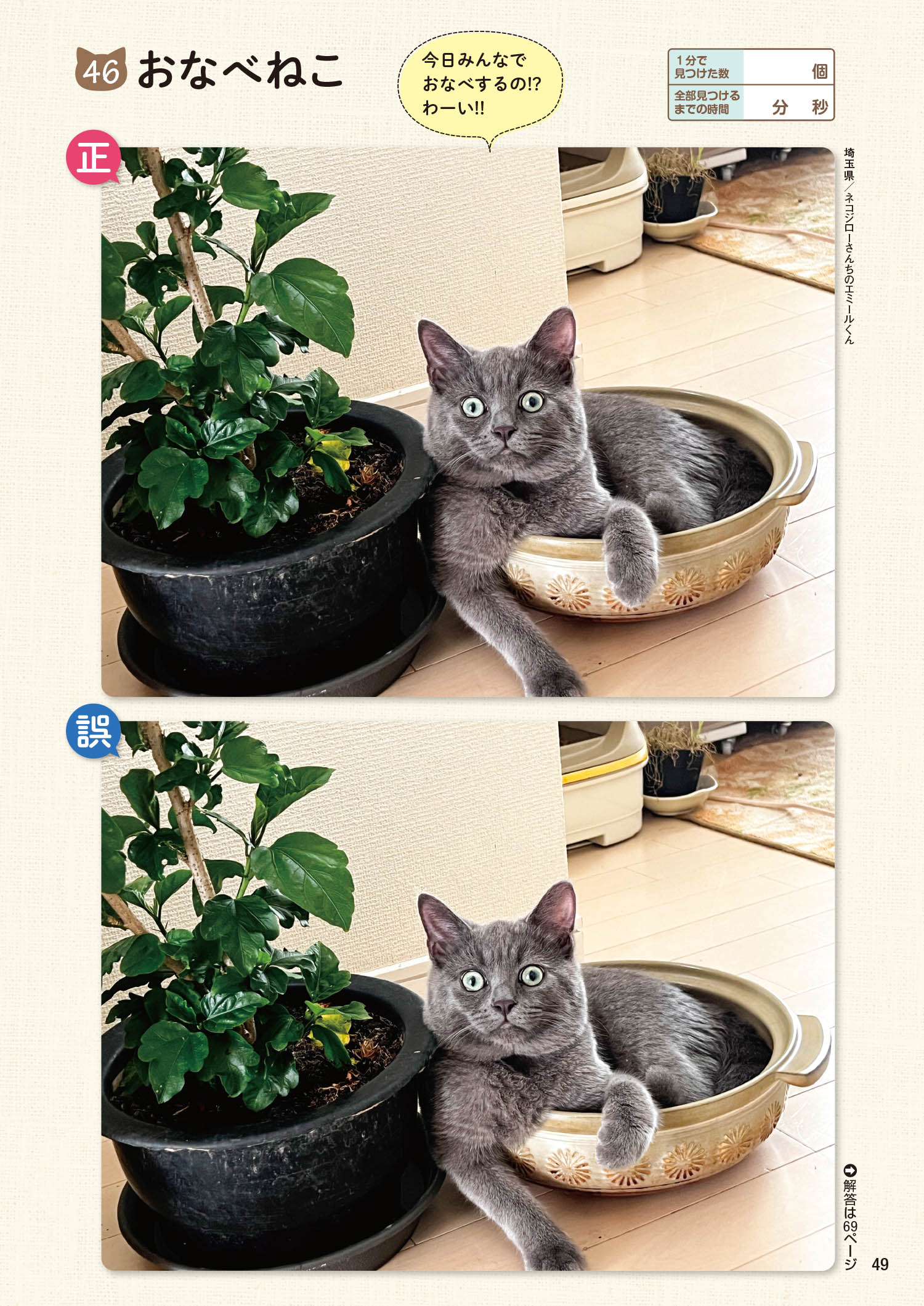 サムネイル画像9