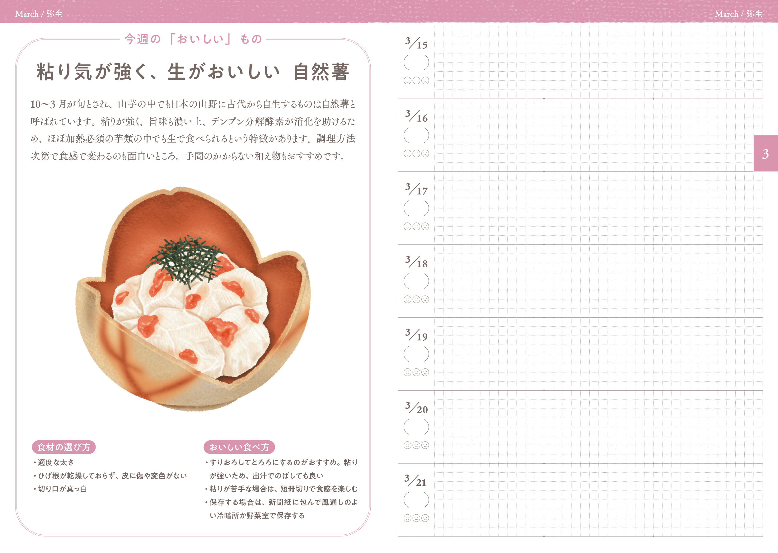 サムネイル画像7