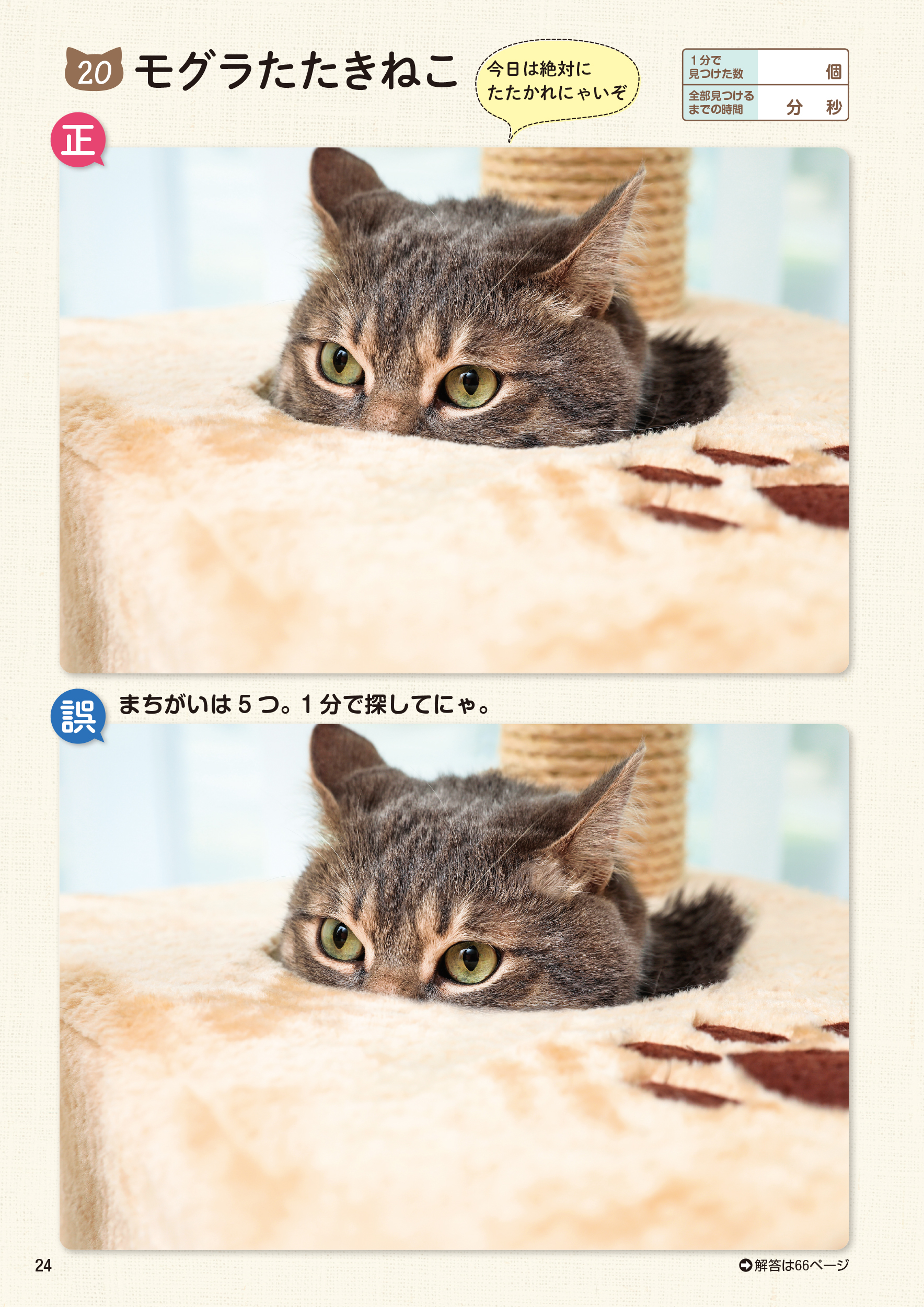 サムネイル画像8