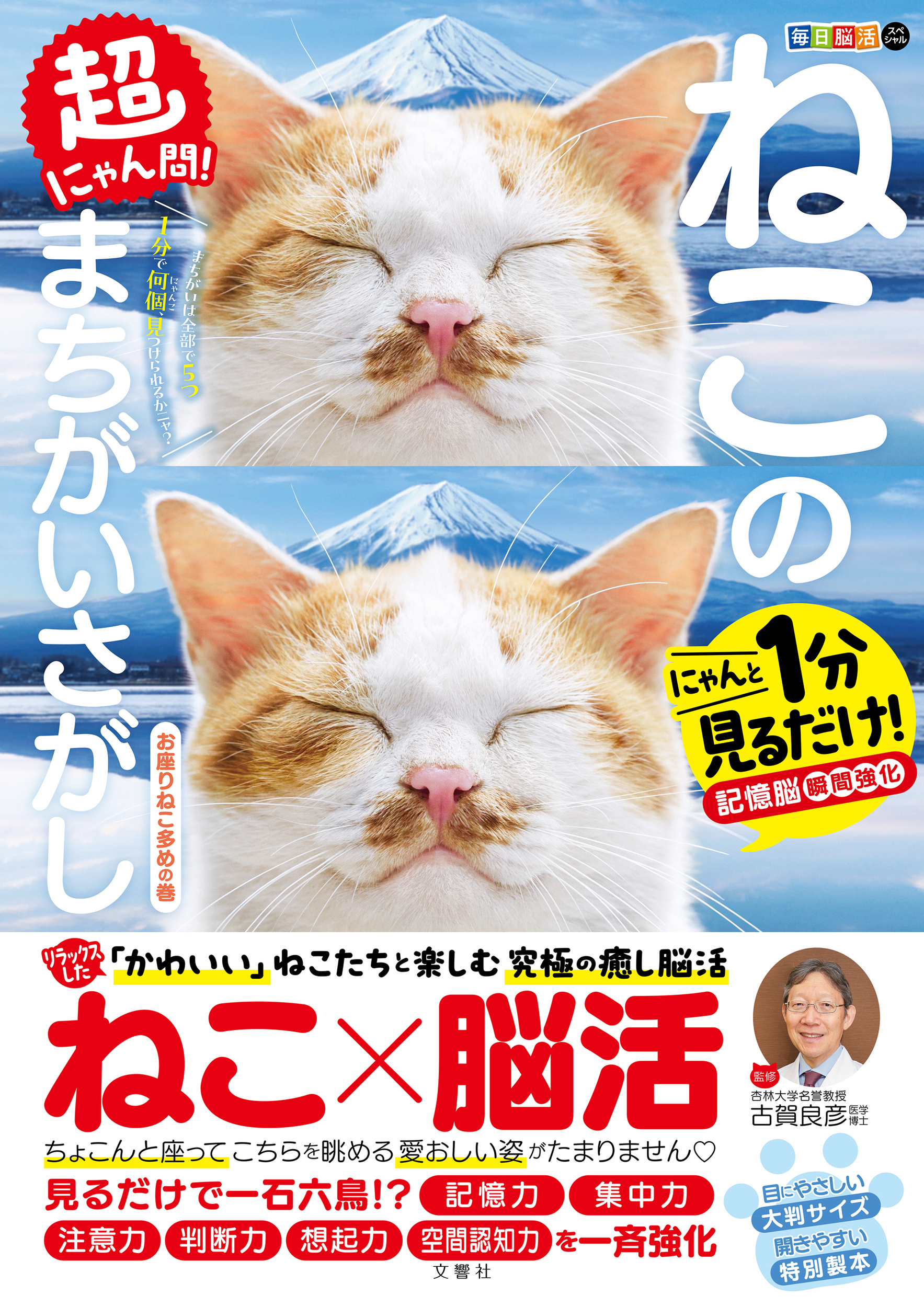 メイン画像