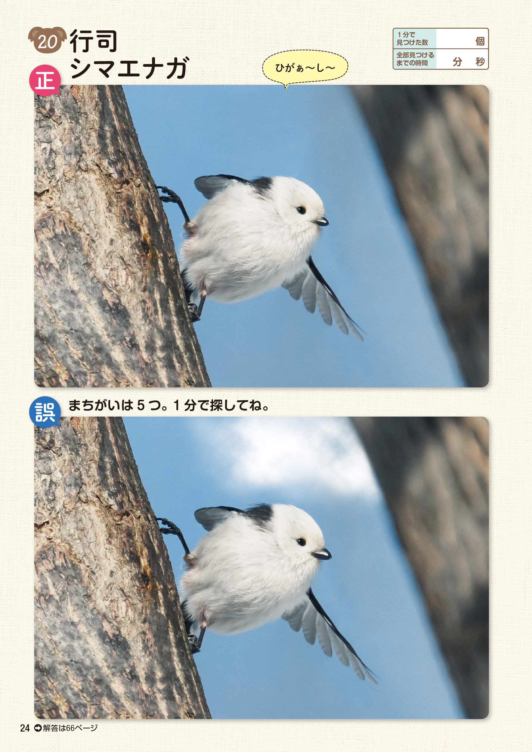 サムネイル画像9