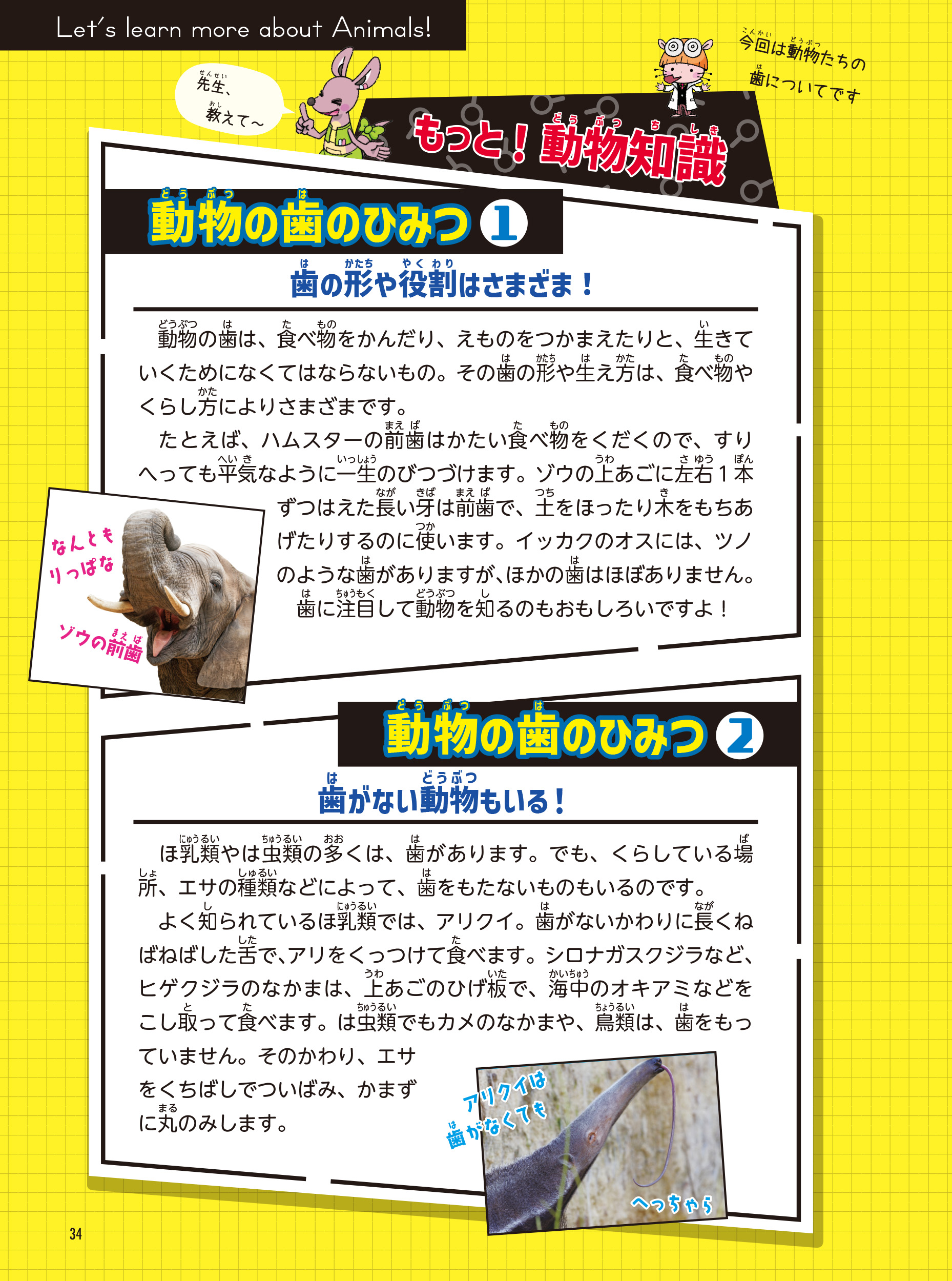 サムネイル画像8