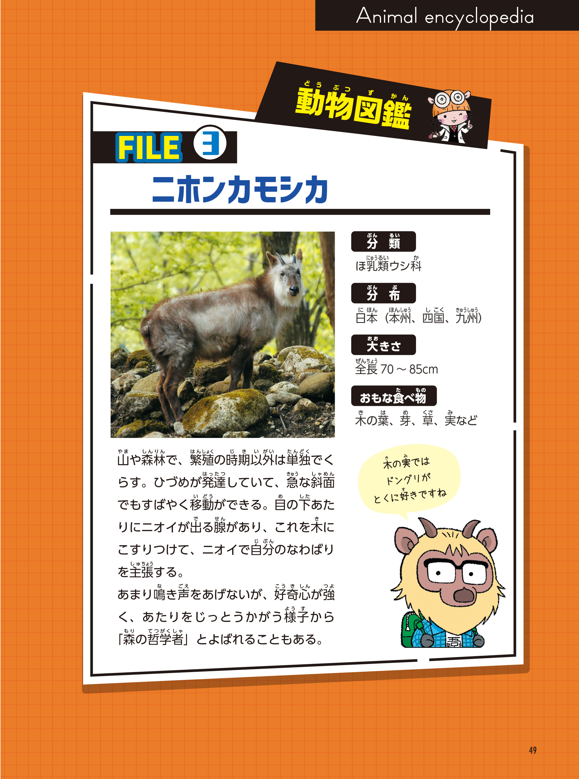 サムネイル画像9