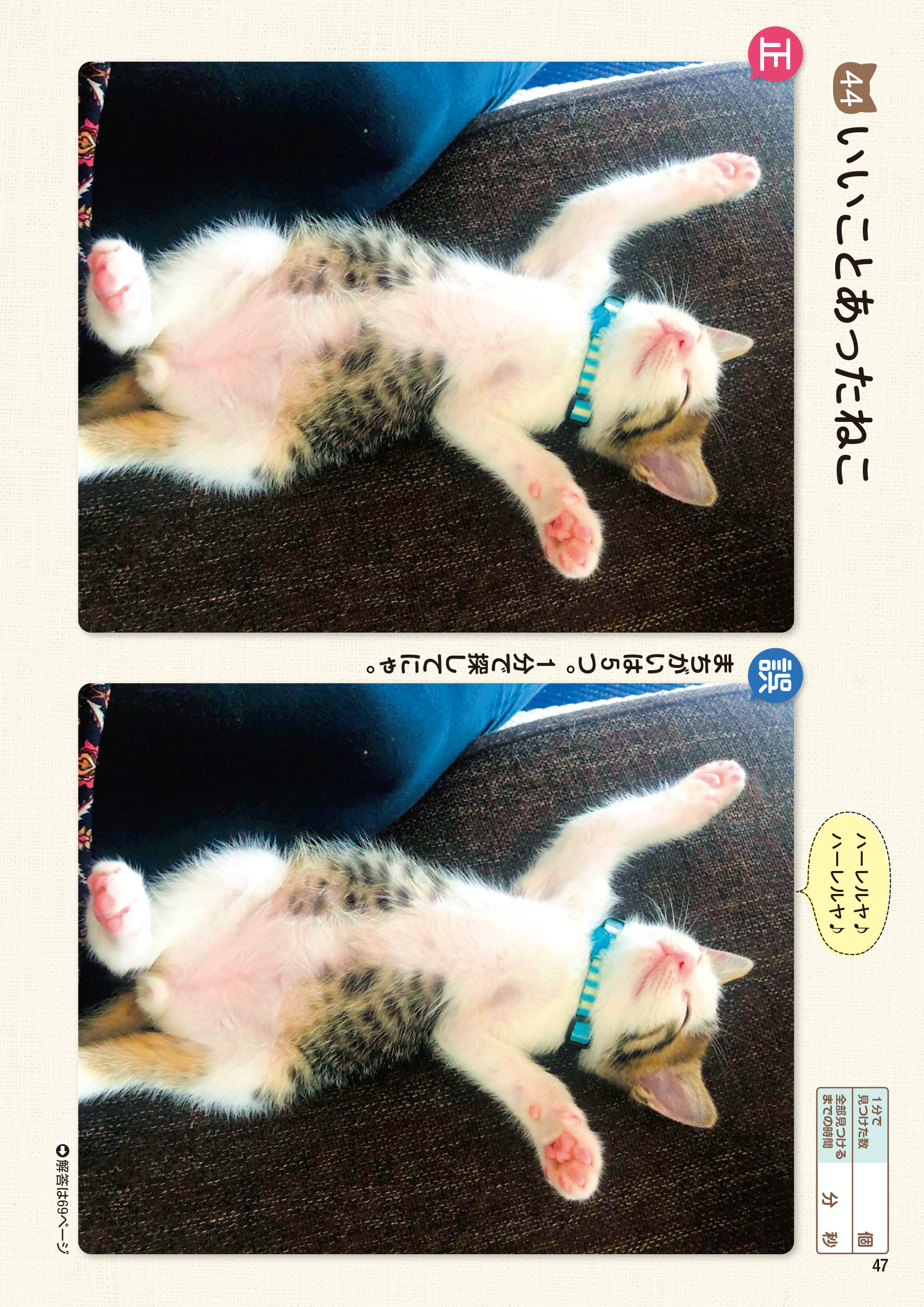 サムネイル画像9