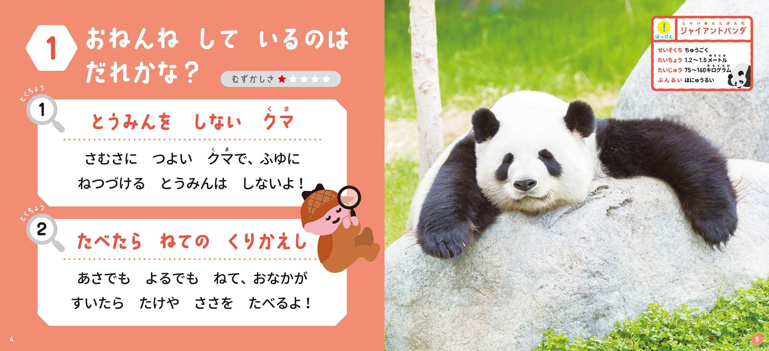サムネイル画像5