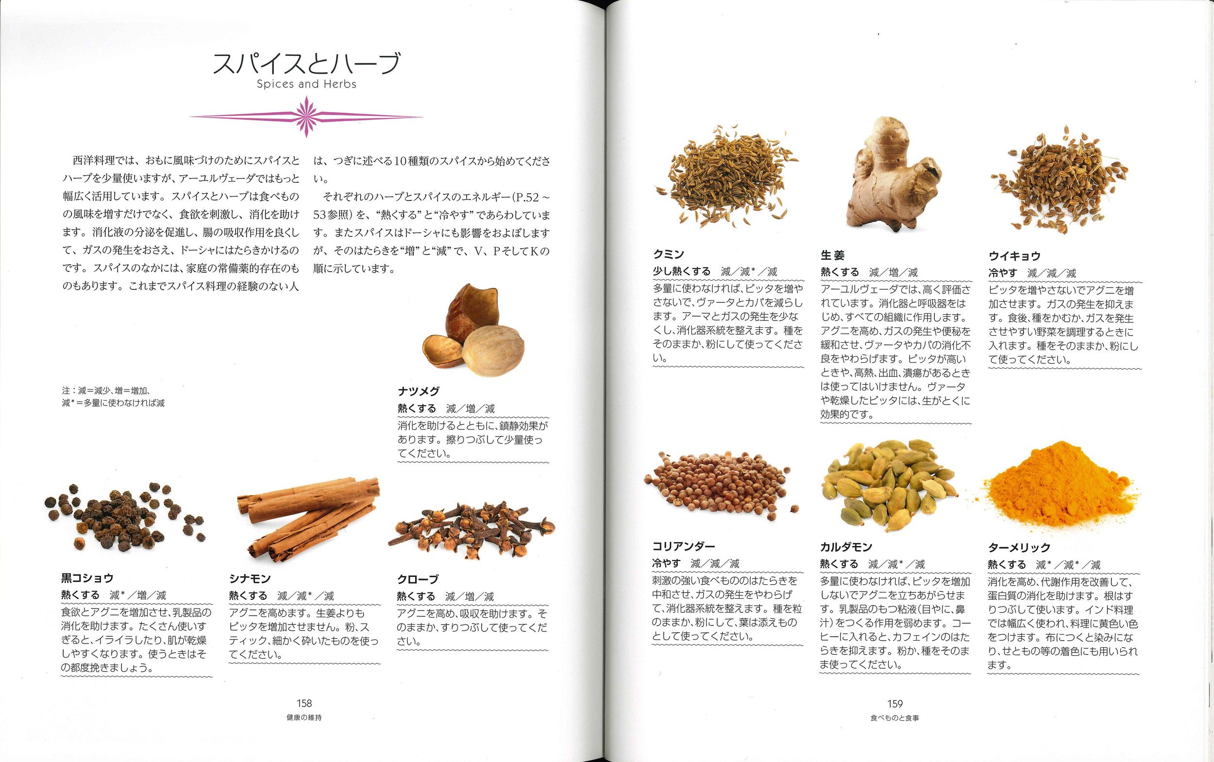 サムネイル画像5