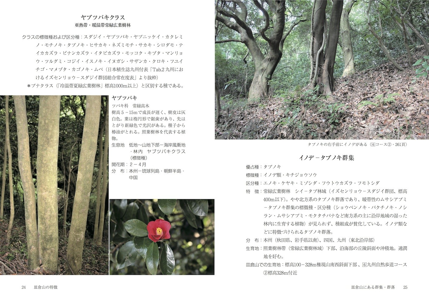 サムネイル画像4