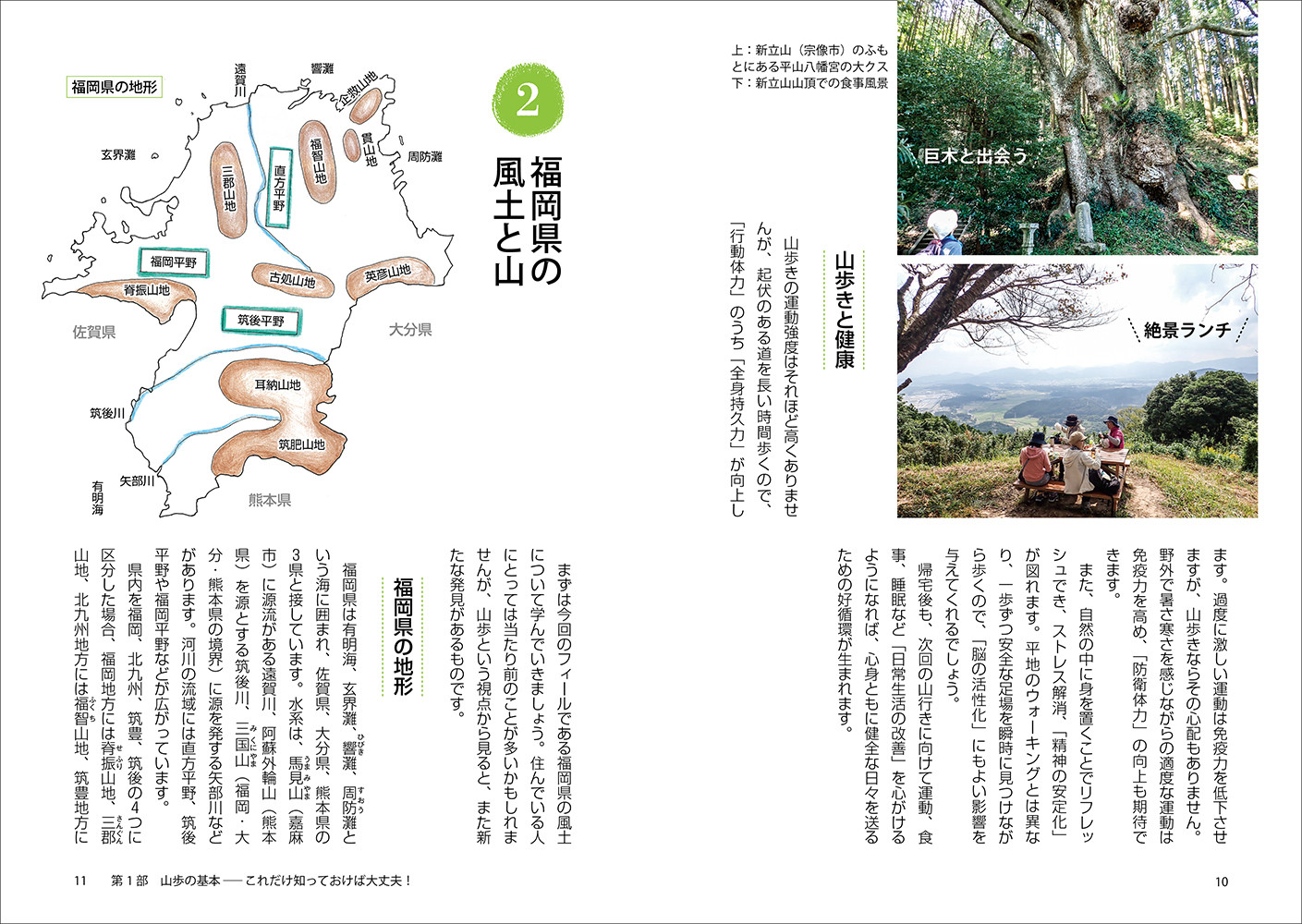 サムネイル画像5