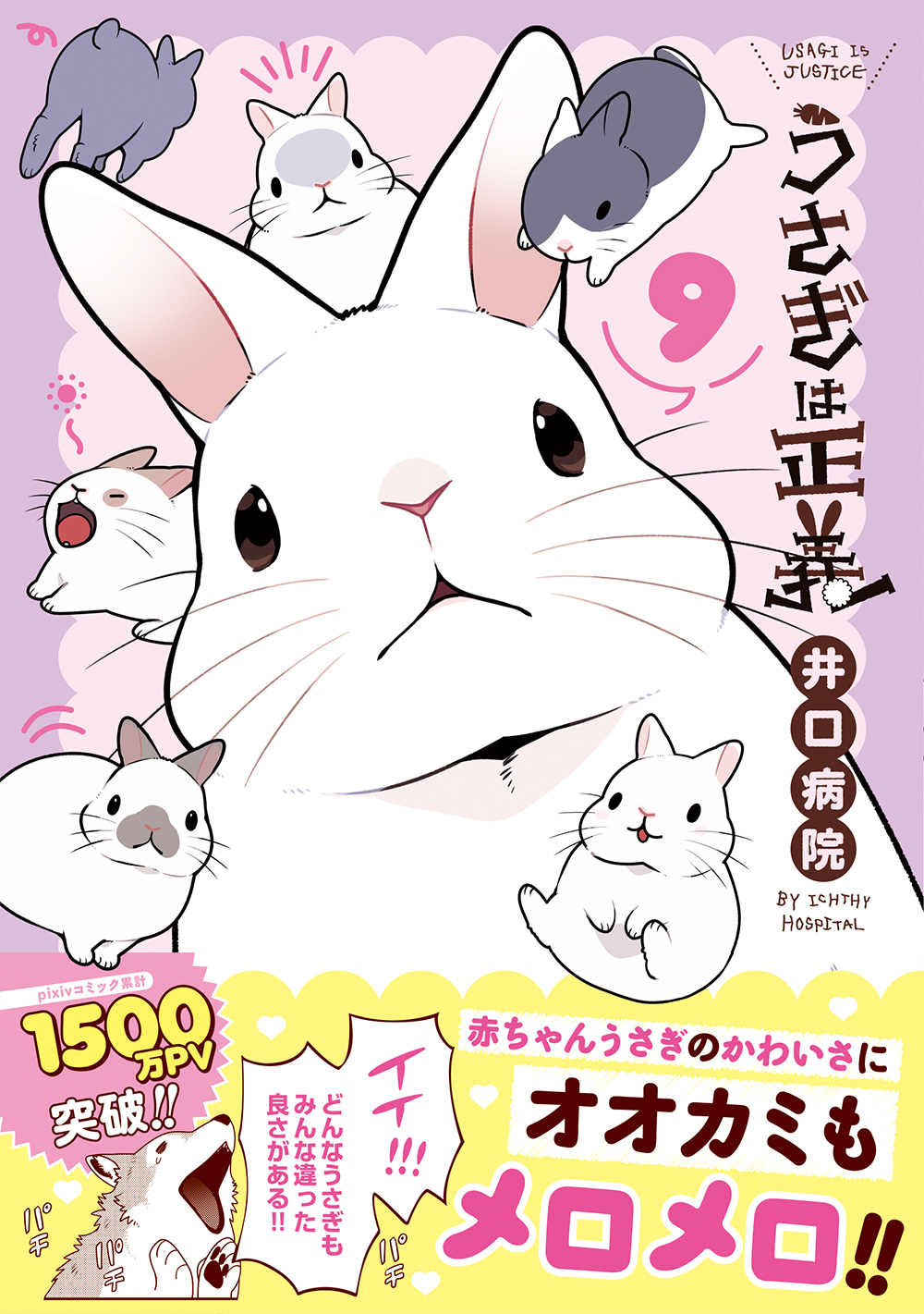 メイン画像