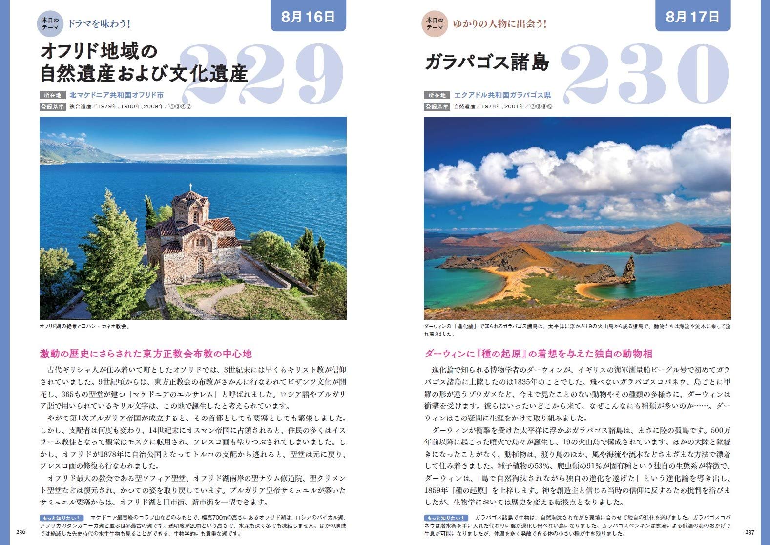 サムネイル画像4