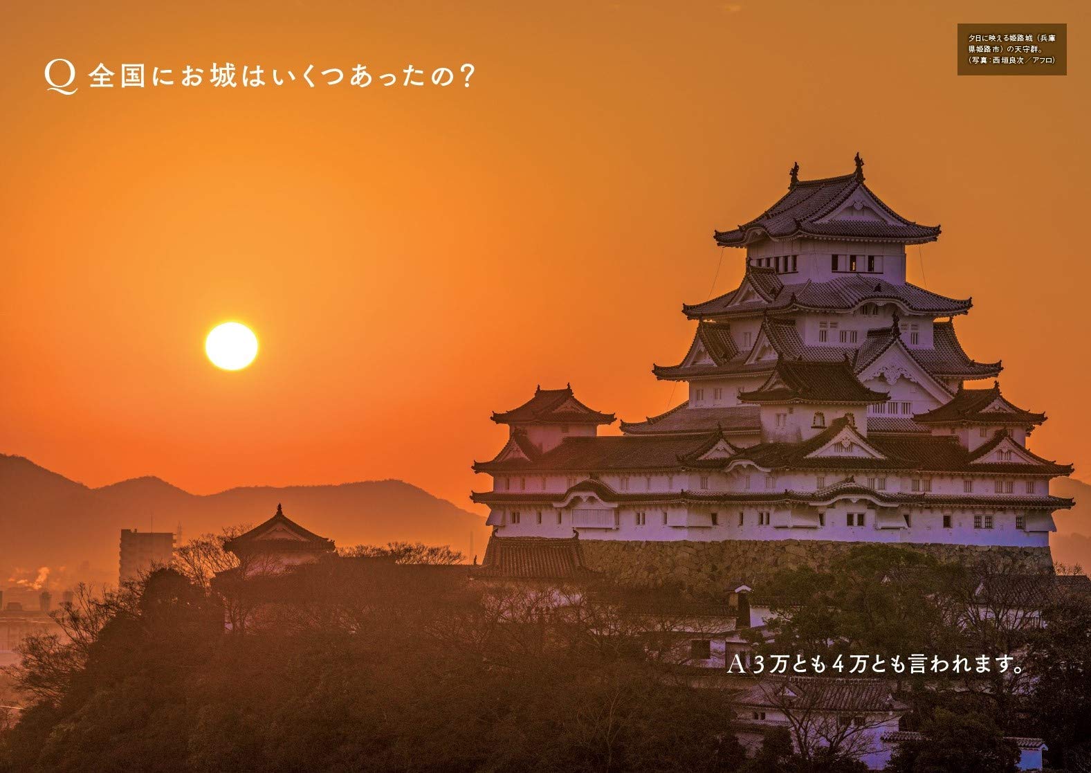 サムネイル画像3