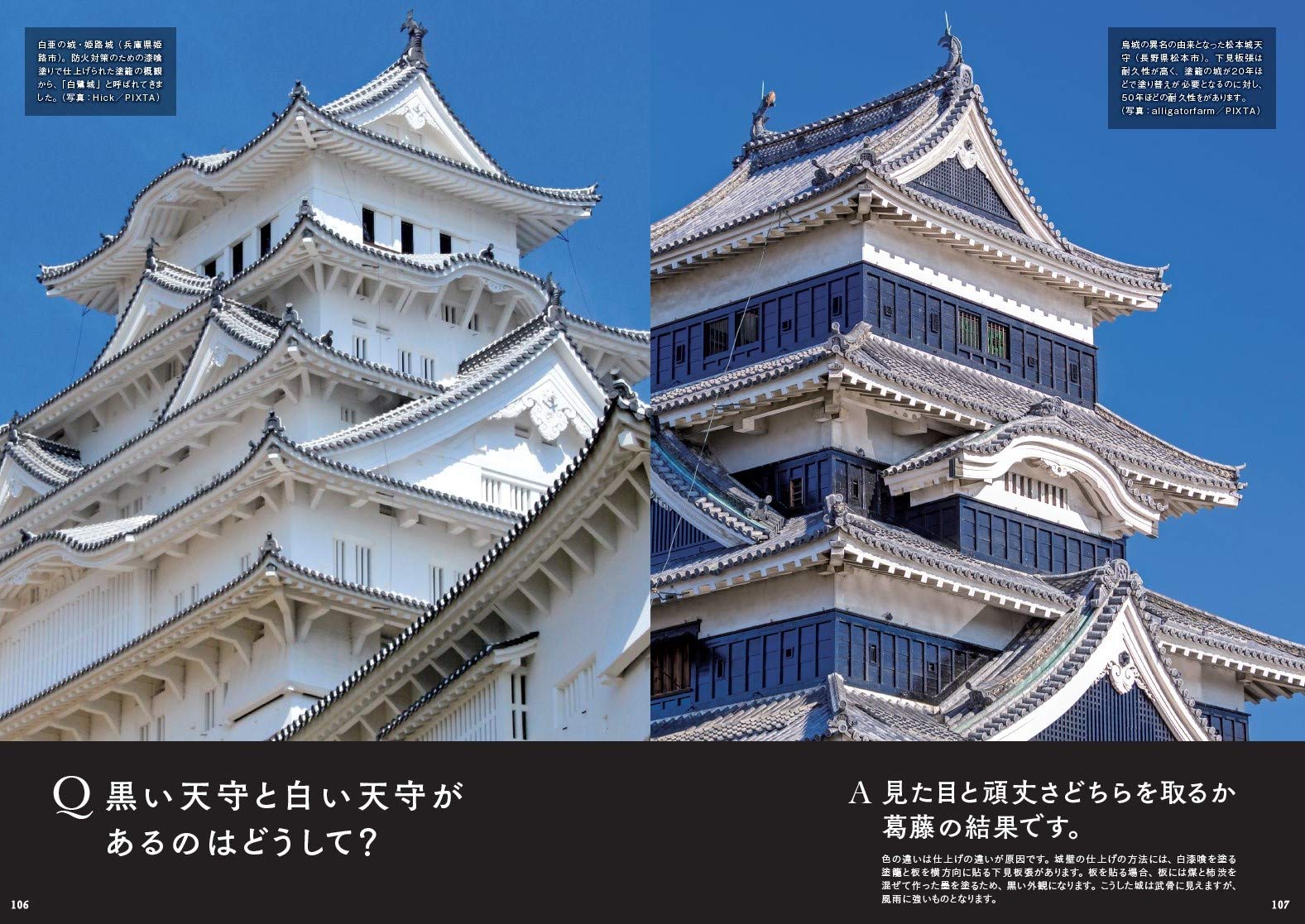 サムネイル画像5
