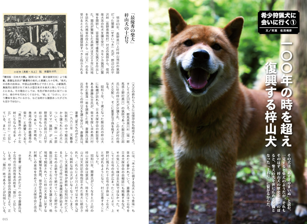 サムネイル画像2