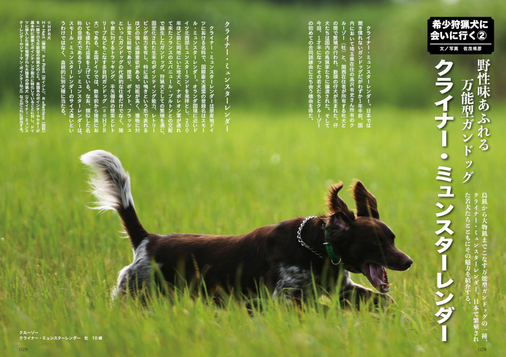 サムネイル画像3